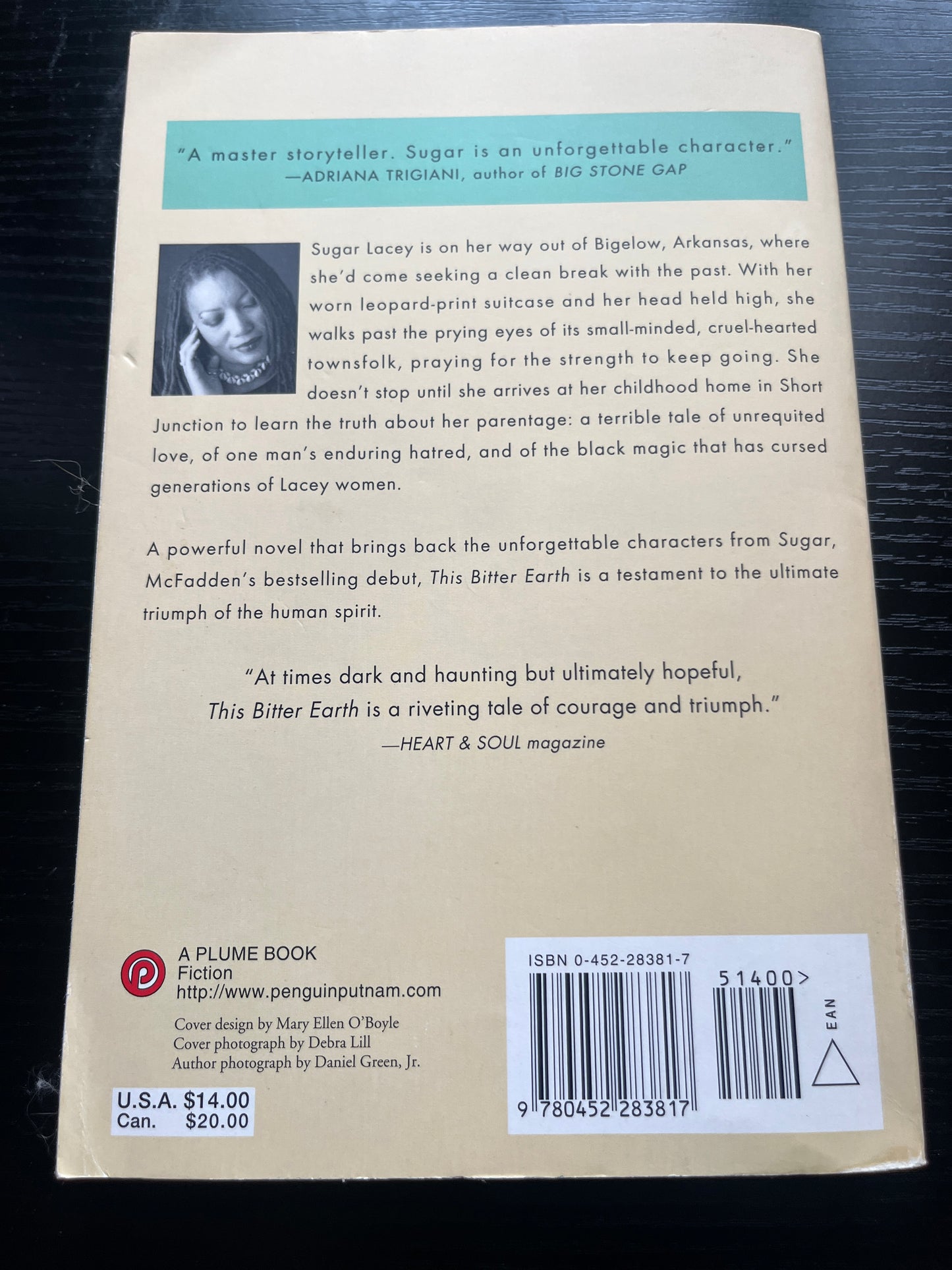 THIS BITTER EARTH by Bernice L. McFadden