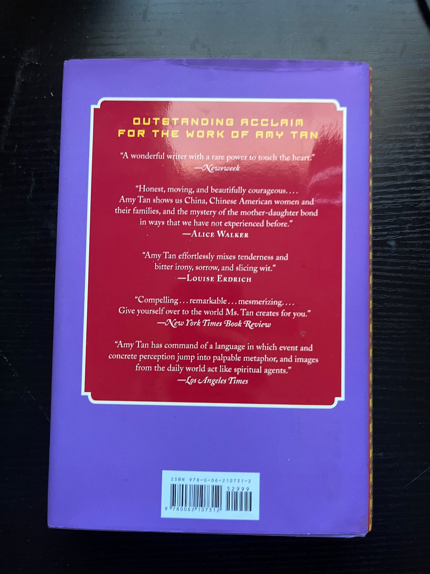 THE VALLEY OF AMAZEMENT by Amy Tan