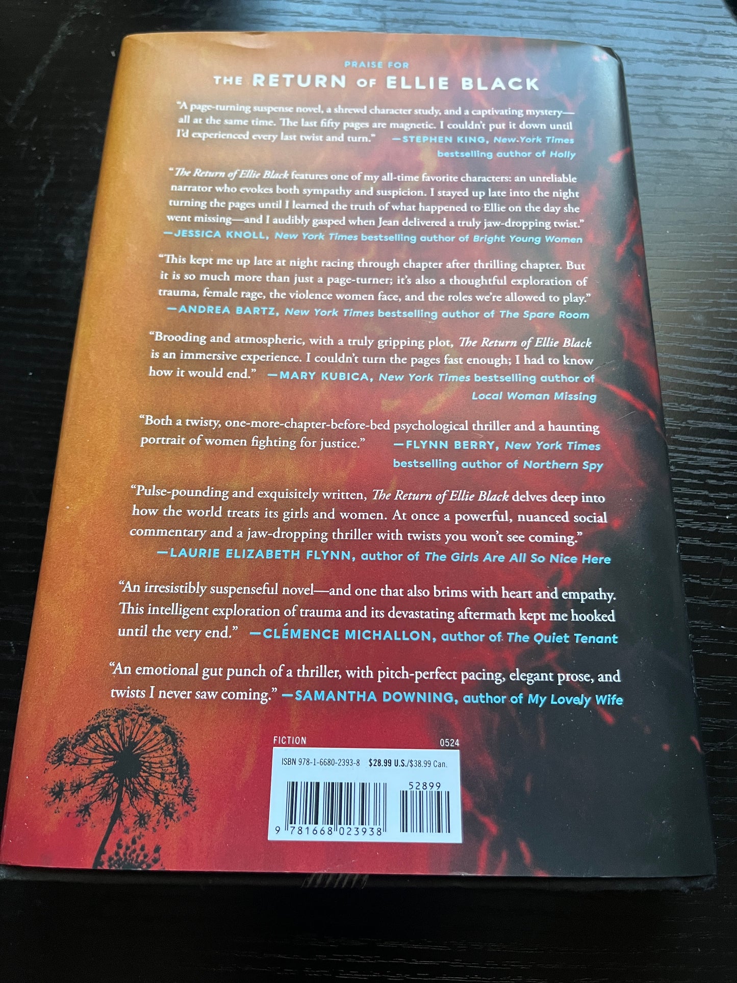 THE RETURN OF ELLIE BLACK: A Novel by Emiko Jean