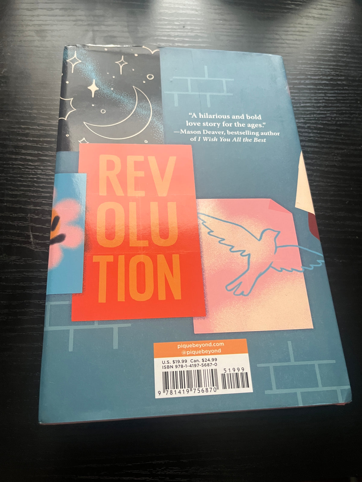 LARK & KASIM START A REVOLUTION: A Novel by Kacen Callender