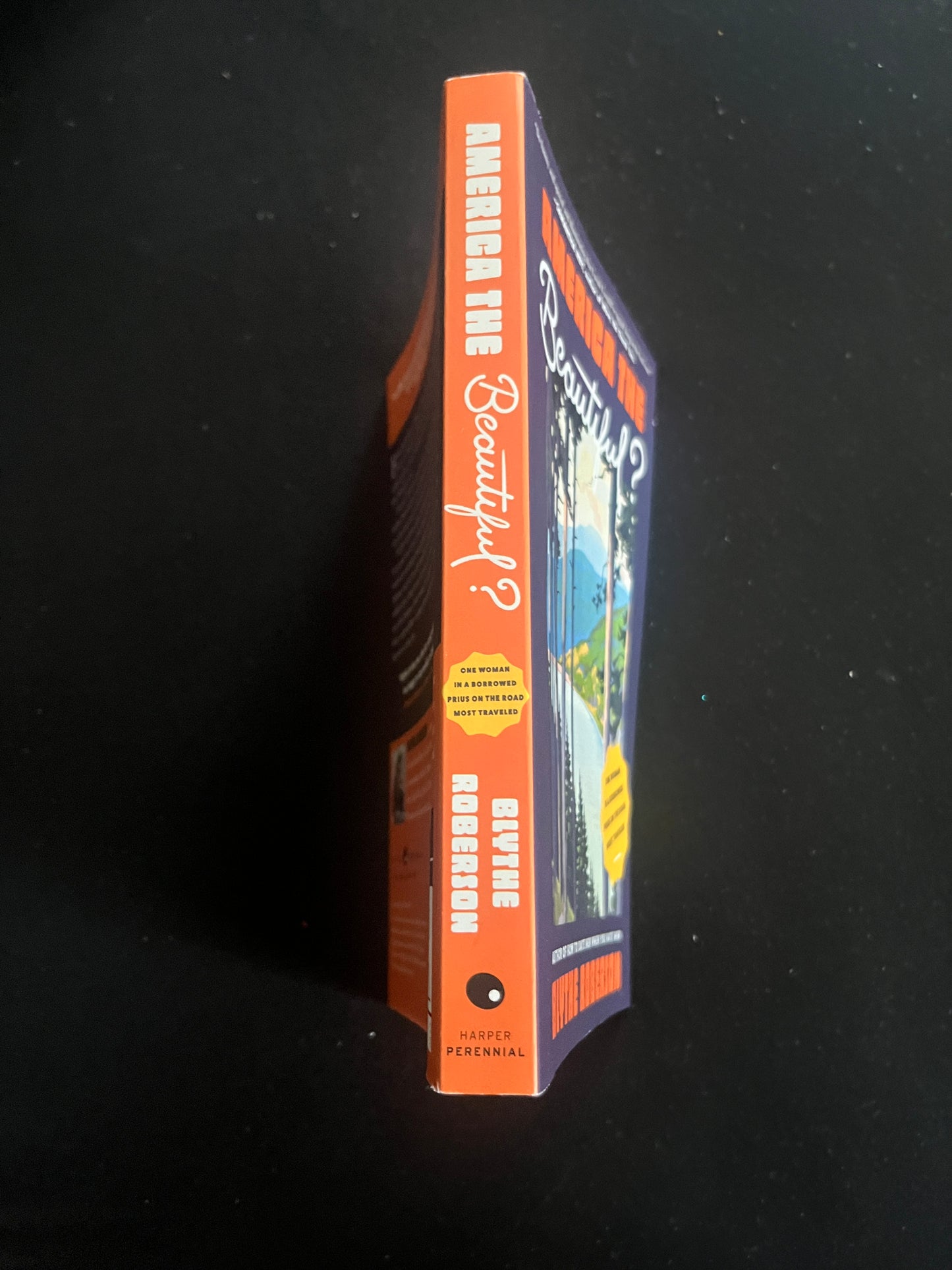 AMERICA THE BEAUTIFUL?: One Woman in a Borrowed Prius on the Road Most Traveled by Blythe Roberson