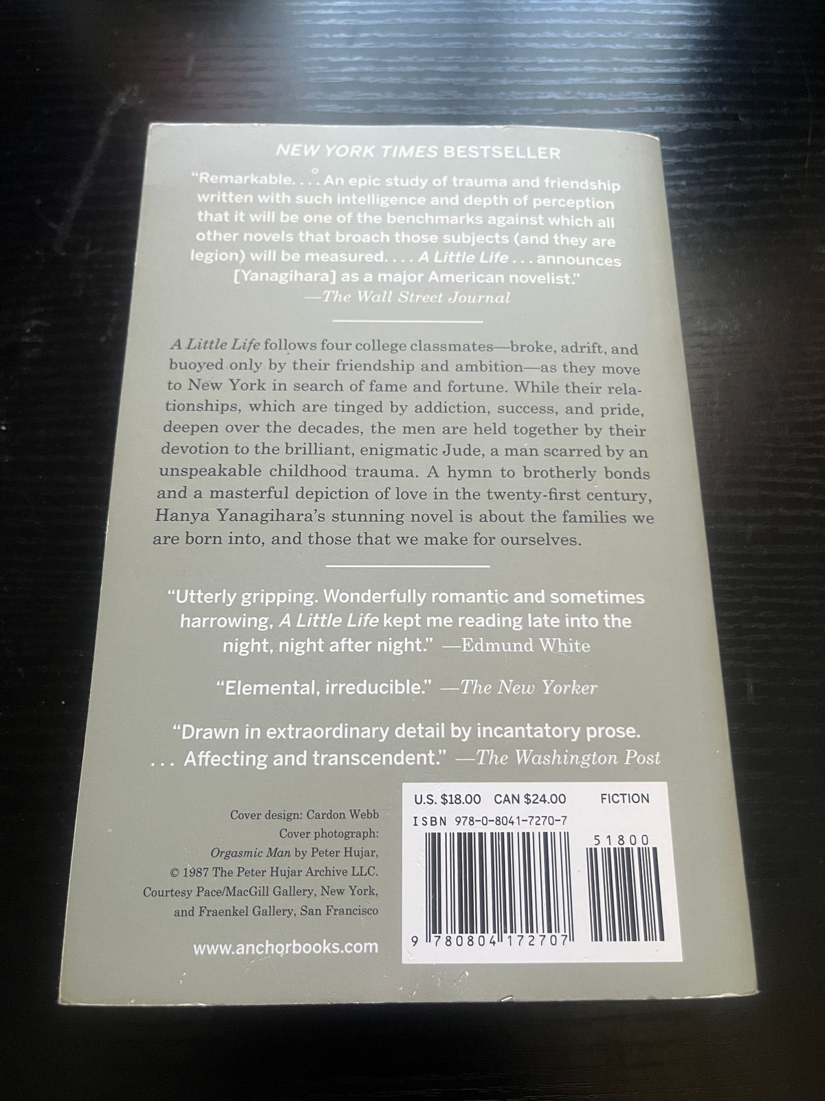 A LITTLE LIFE by Hanya Yanagihara