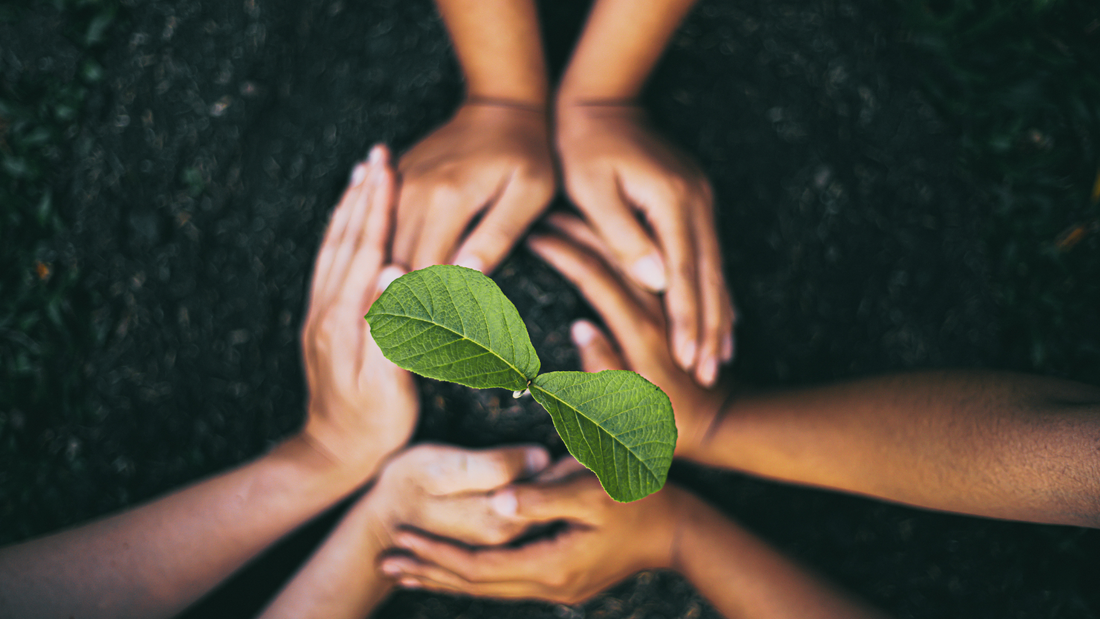 How to Boost Sustainability in Your Community with Simple Everyday Actions