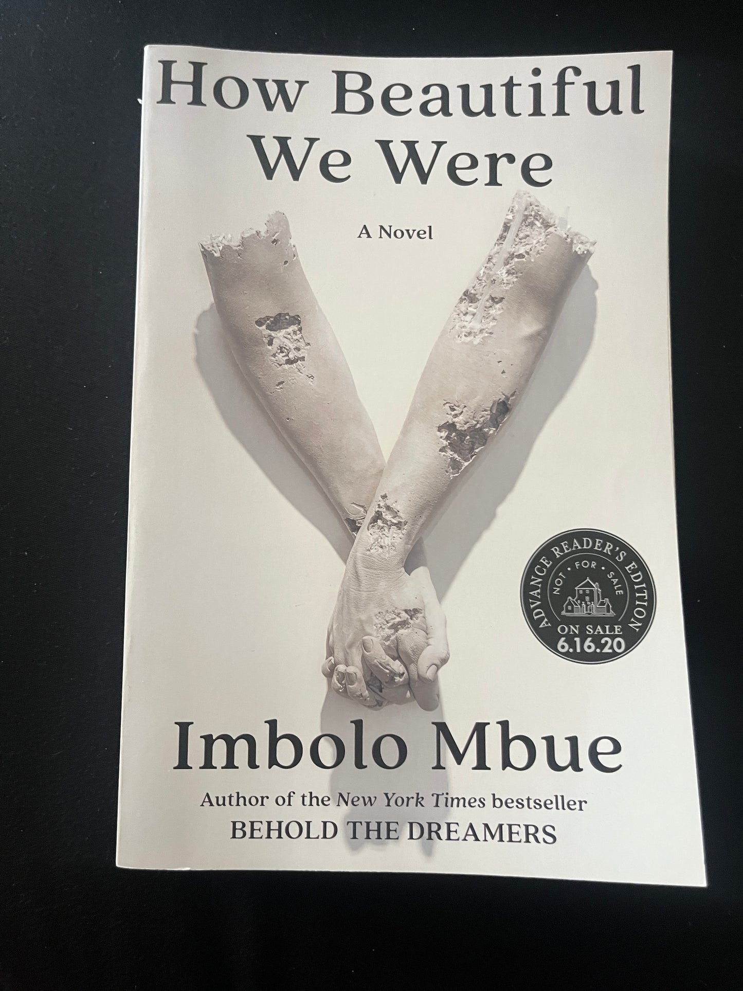 HOW BEAUTIFUL WE WERE by Imbolo Mbue
