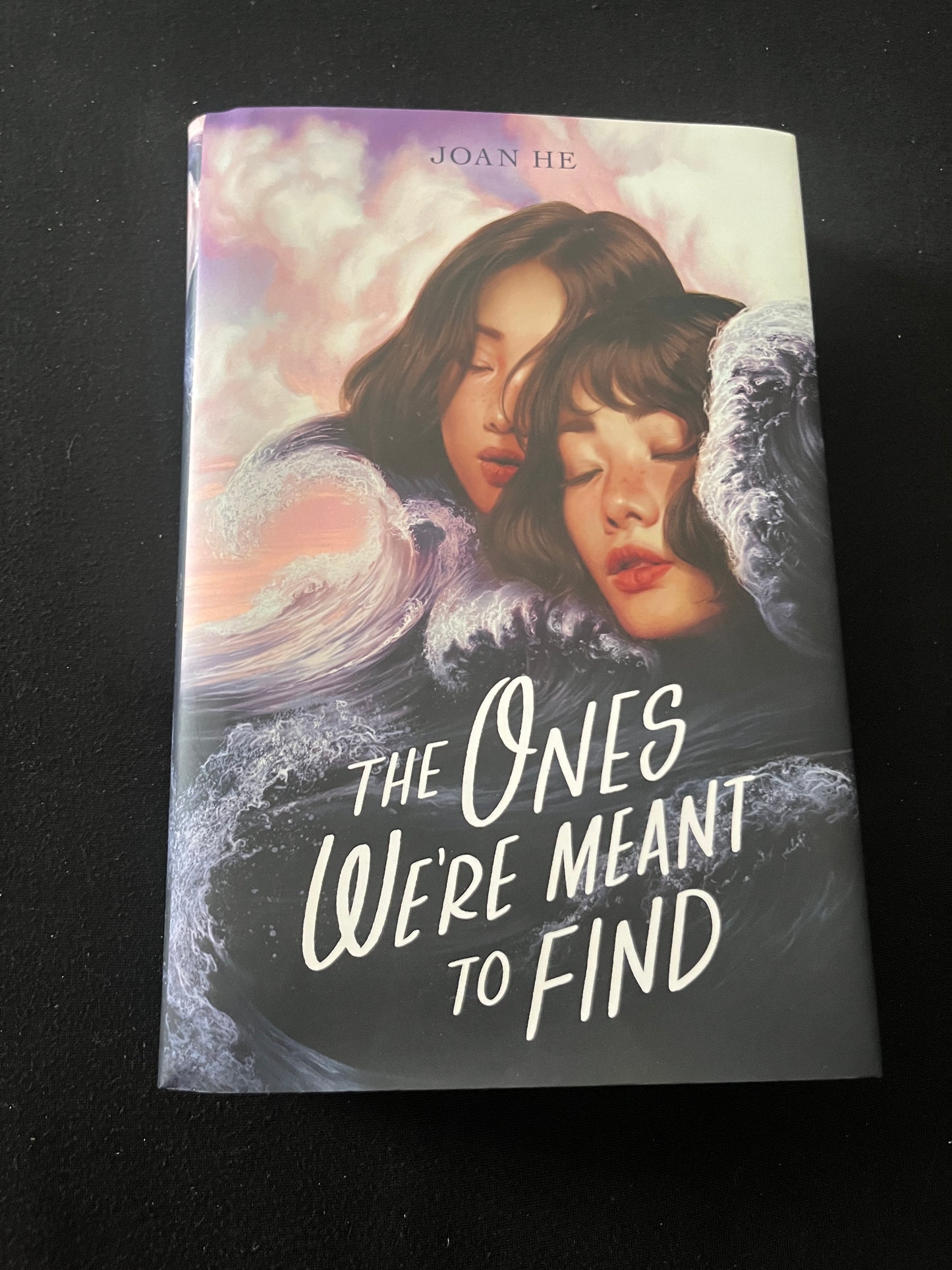 THE ONES WE'RE MEANT TO FIND by Joan He