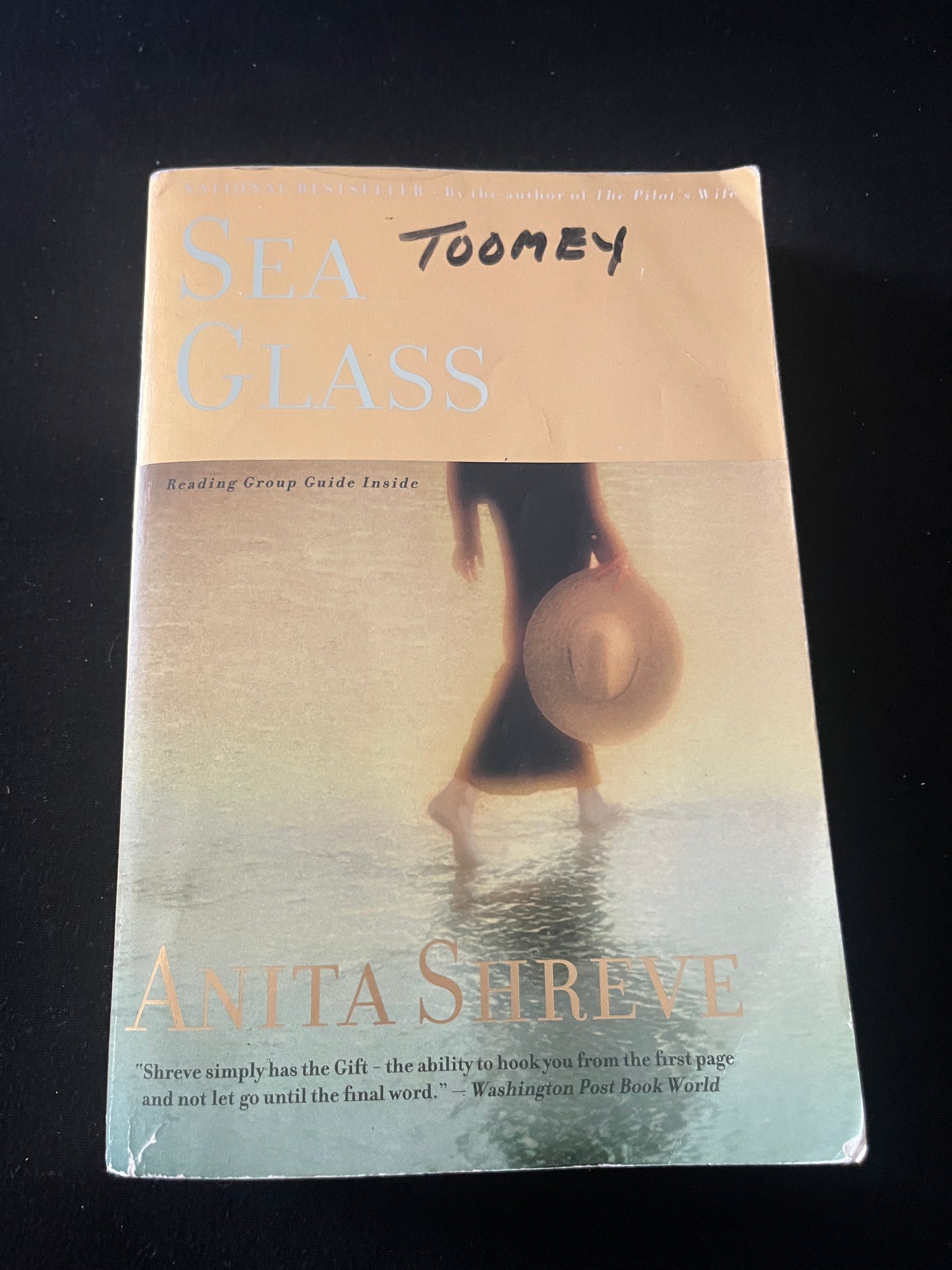 SEA GLASS by Anita Shreve