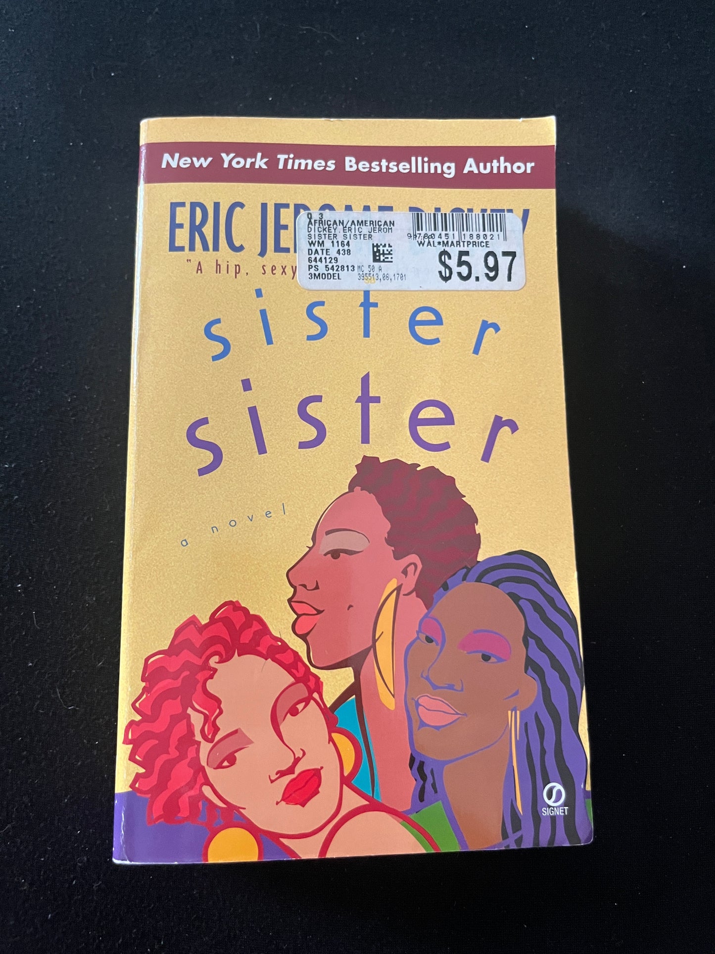 SISTER SISTER by Eric Jerome Dickey