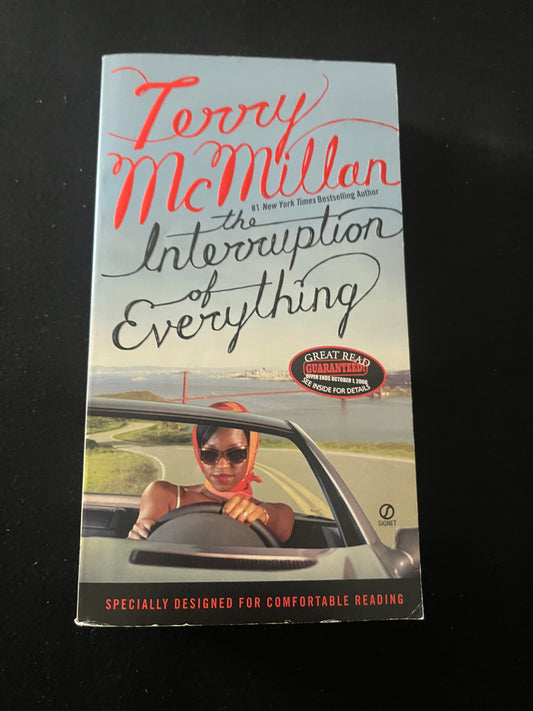 THE INTERRUPTION OF EVERYTHING by Terry McMillan