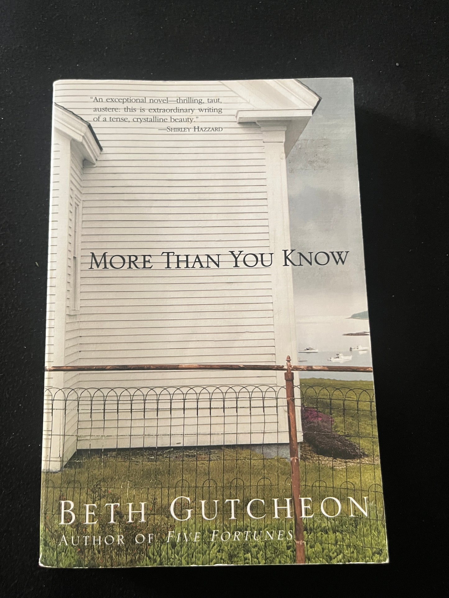 MORE THAN YOU KNOW by Beth Gutcheon