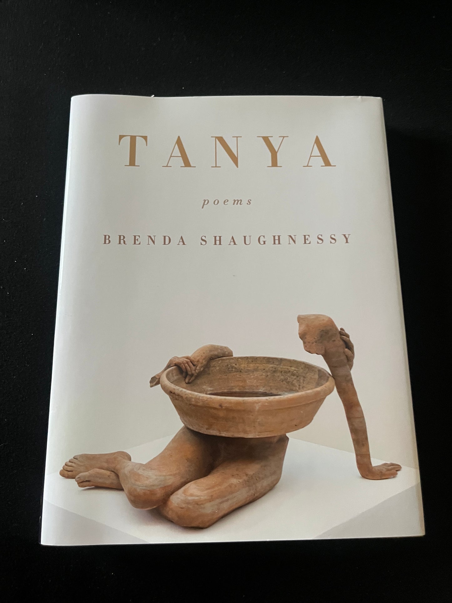 TANYA: Poems by Brenda Shaughnessy