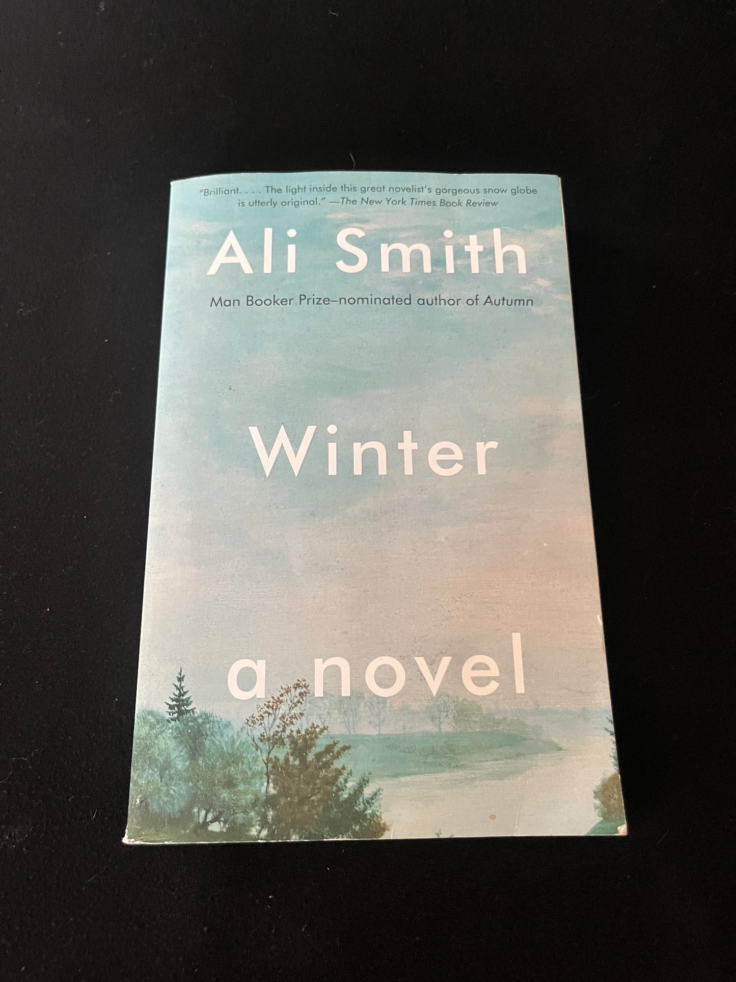 WINTER by Ali Smith