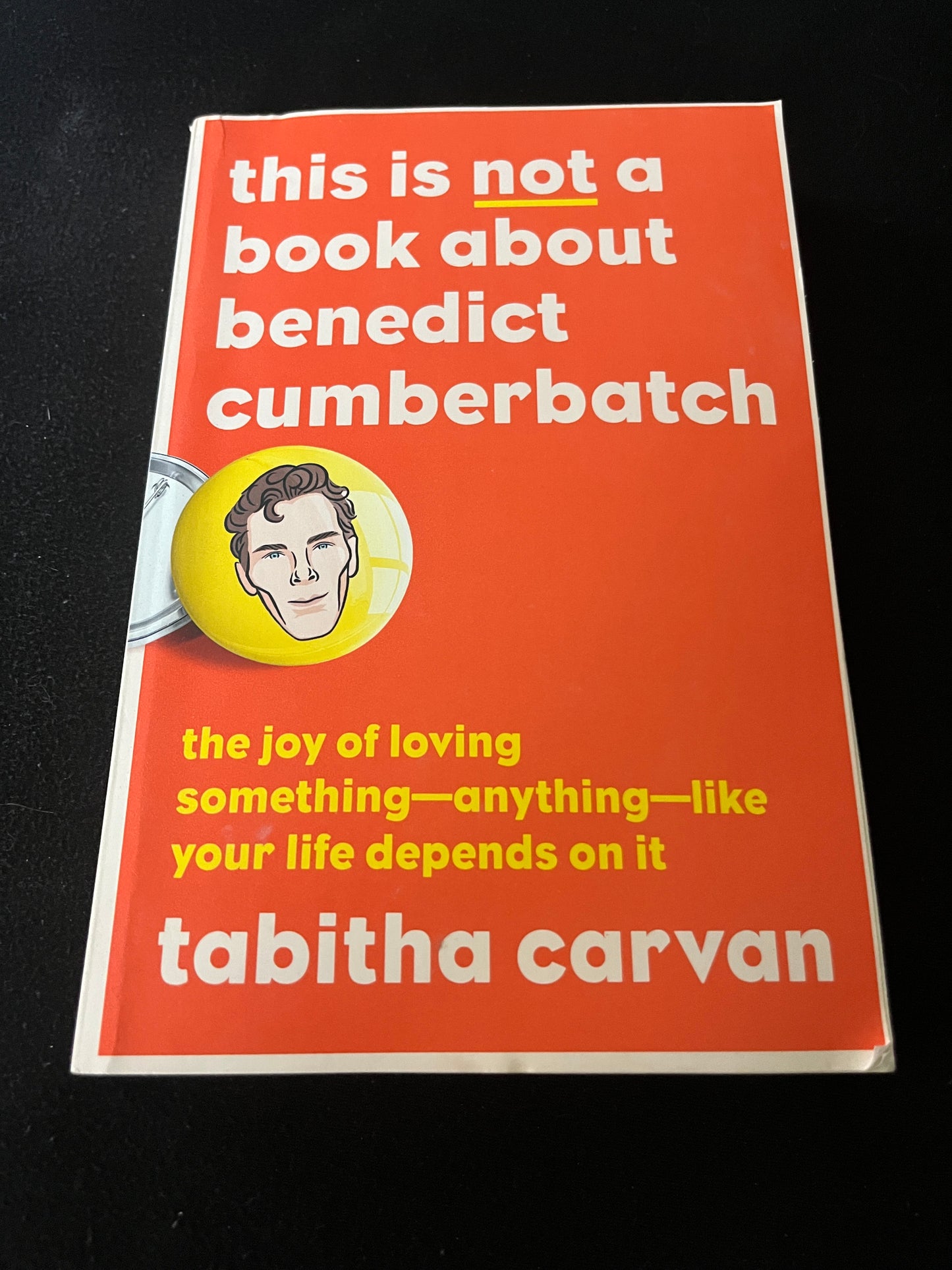 THE IS NOT A BOOK ABOUT BENEDICT CUMBERBATCH: The Joy of Loving Something- Anything- Like Your Life Depends on It by Tabitha Carvan