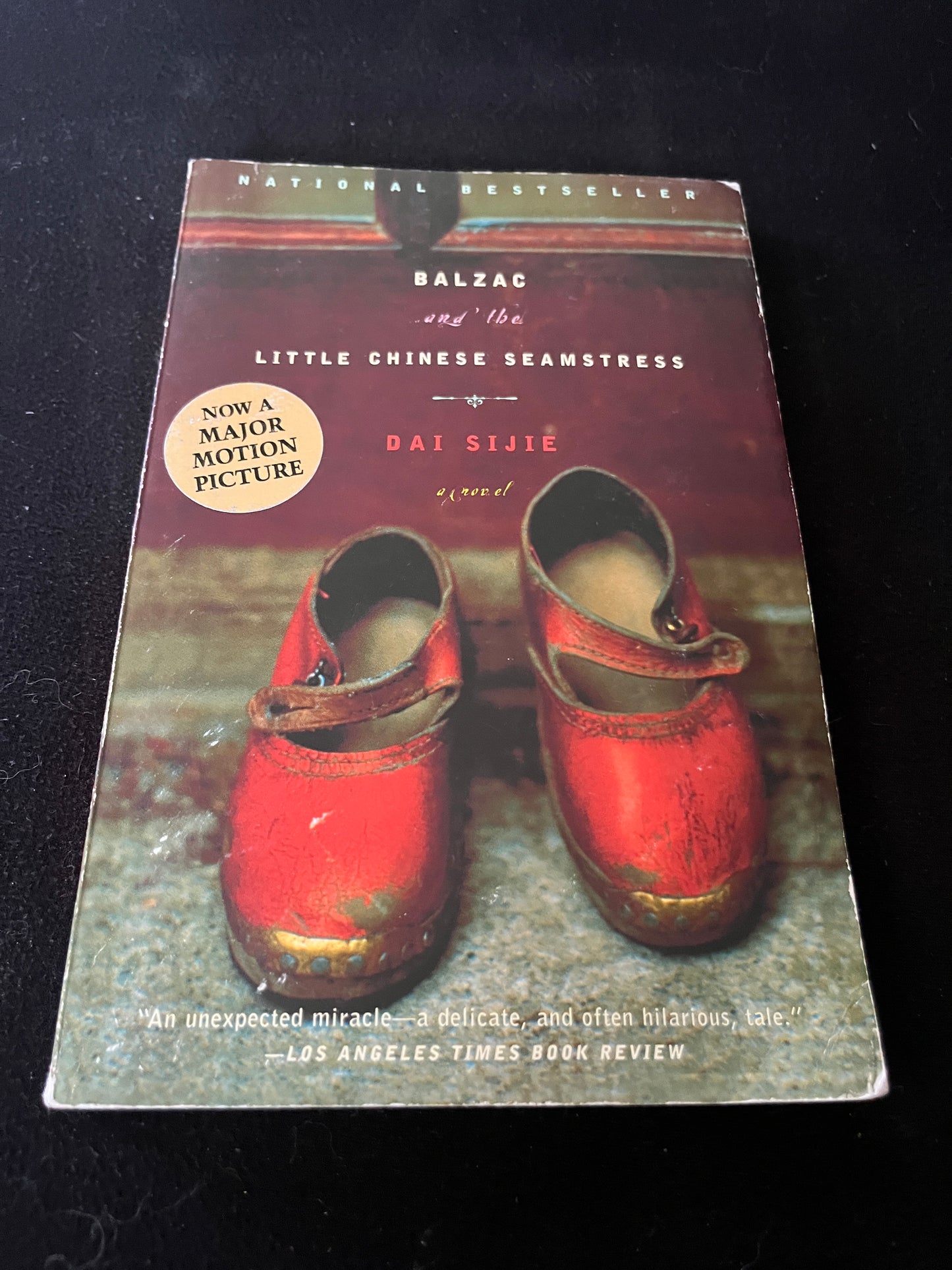 BALZAC AND THE LITTLE CHINESE SEAMSTRESS by Dai Sijie (Ina Rilke, Translator)