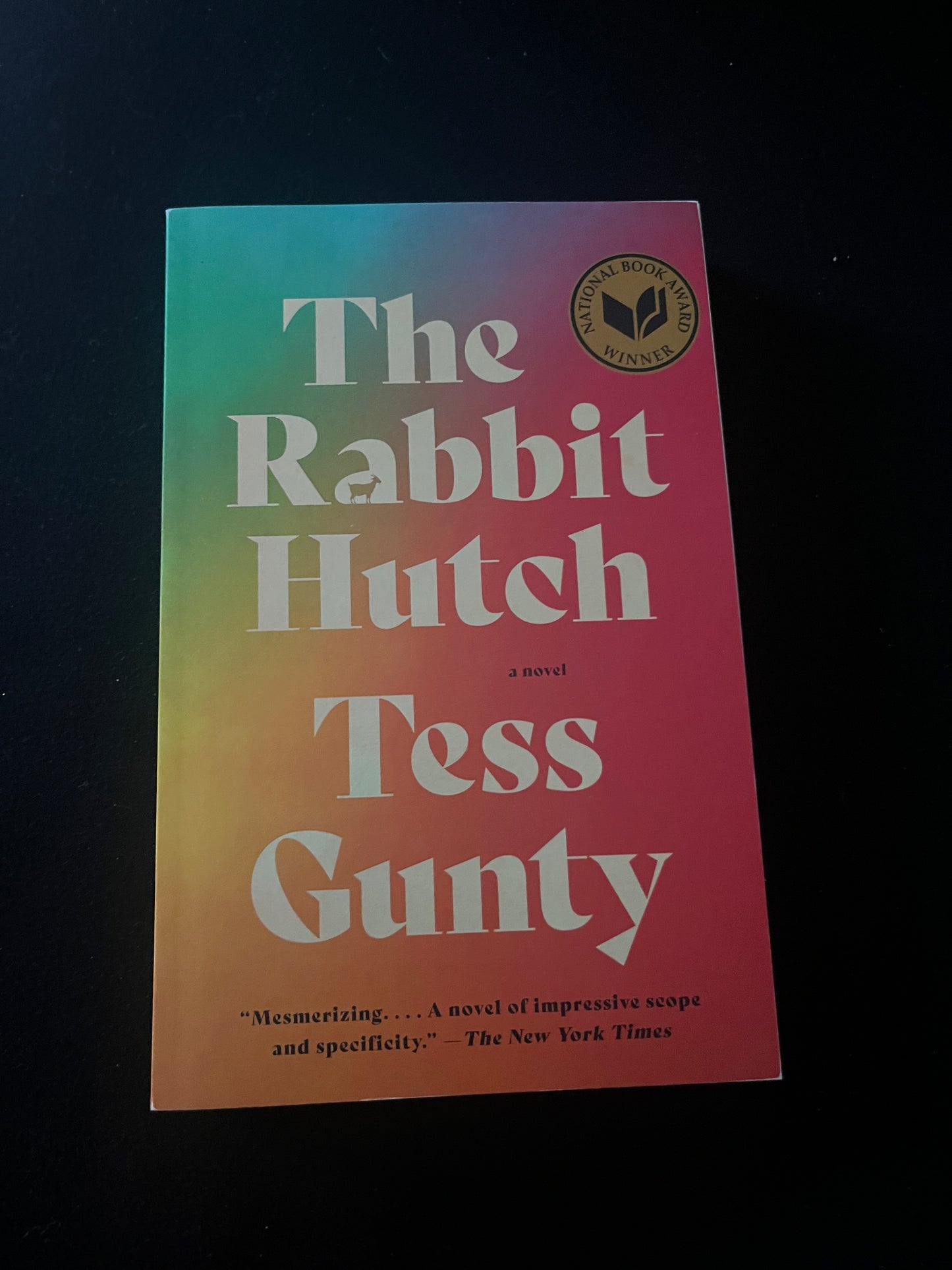 THE RABBIT HUTCH by Tess Gunty