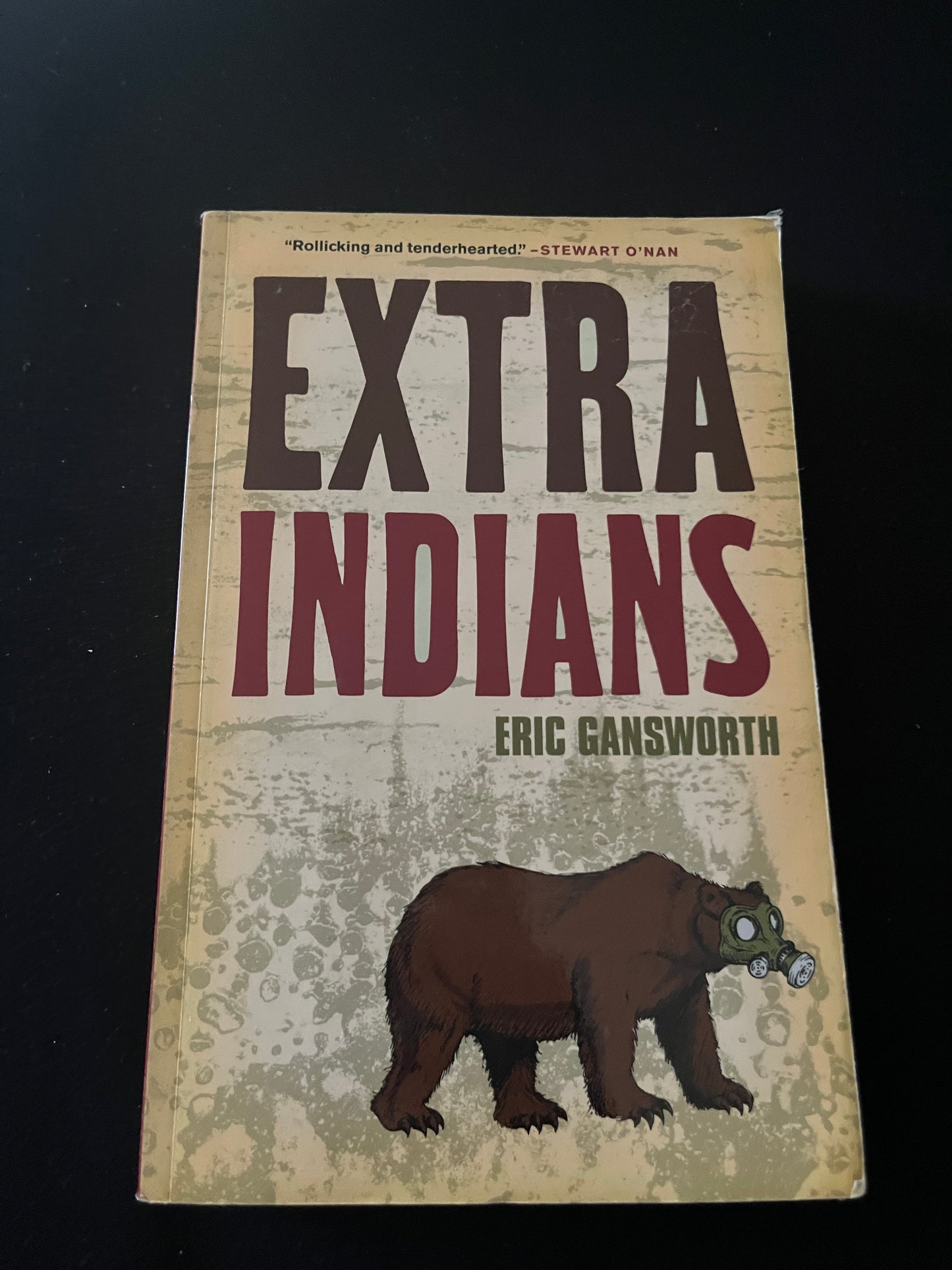 EXTRA INDIANS by Eric Gansworth