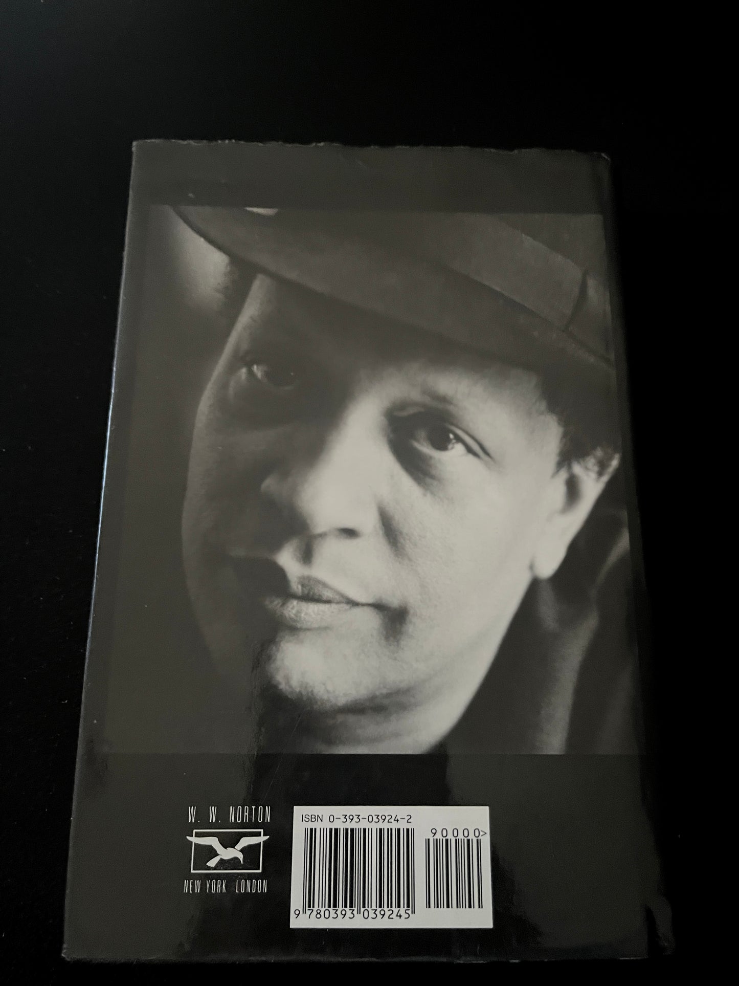 A LITTLE YELLOW DOG by Walter Mosley