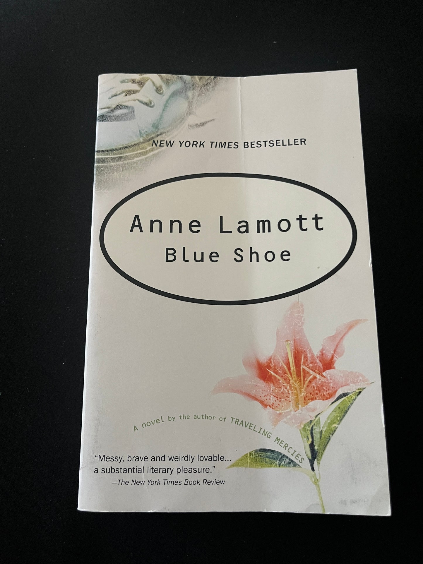 BLUE SHOE by Anne Lamott