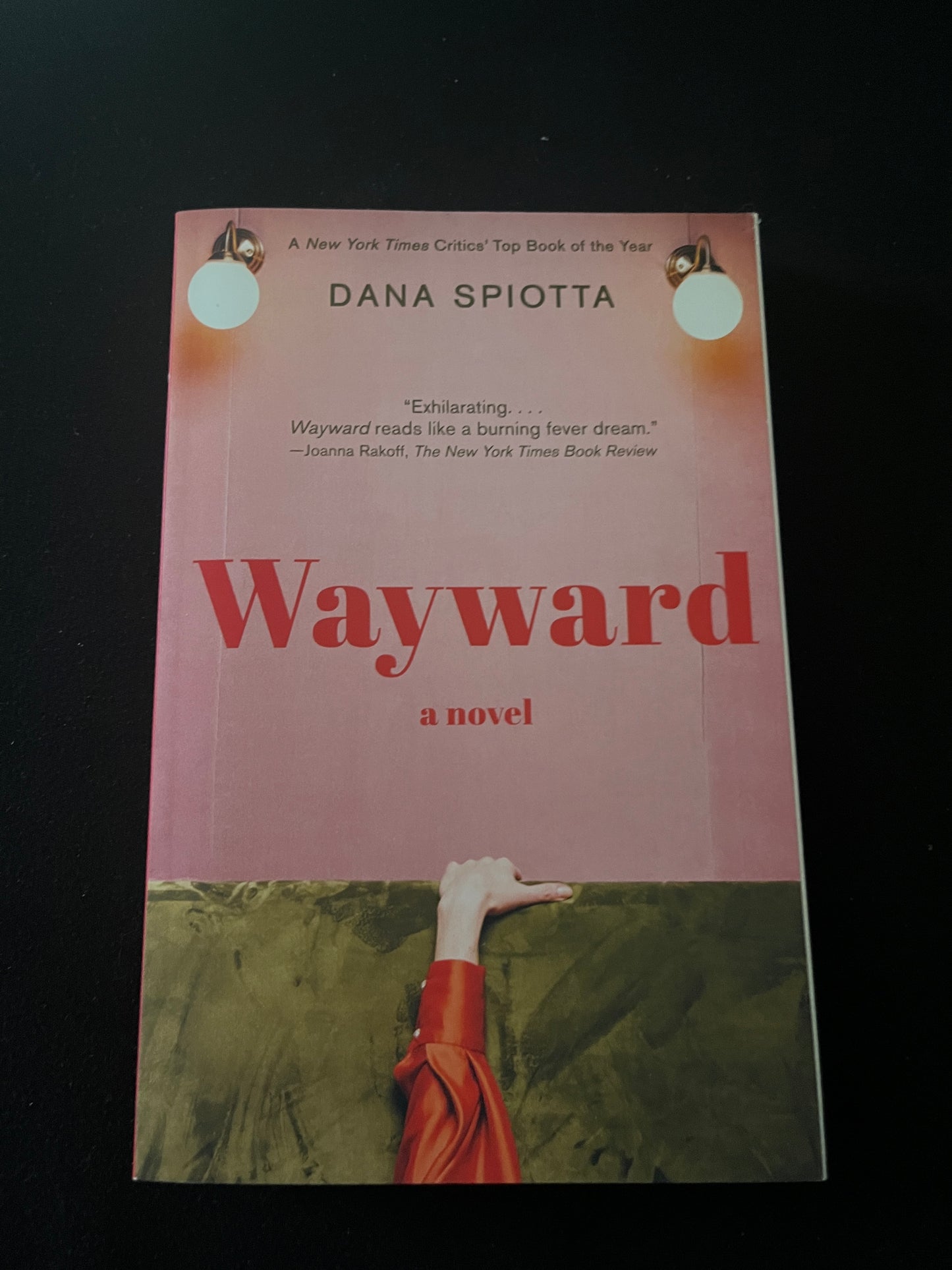 WAYWARD by Dana Spiotta