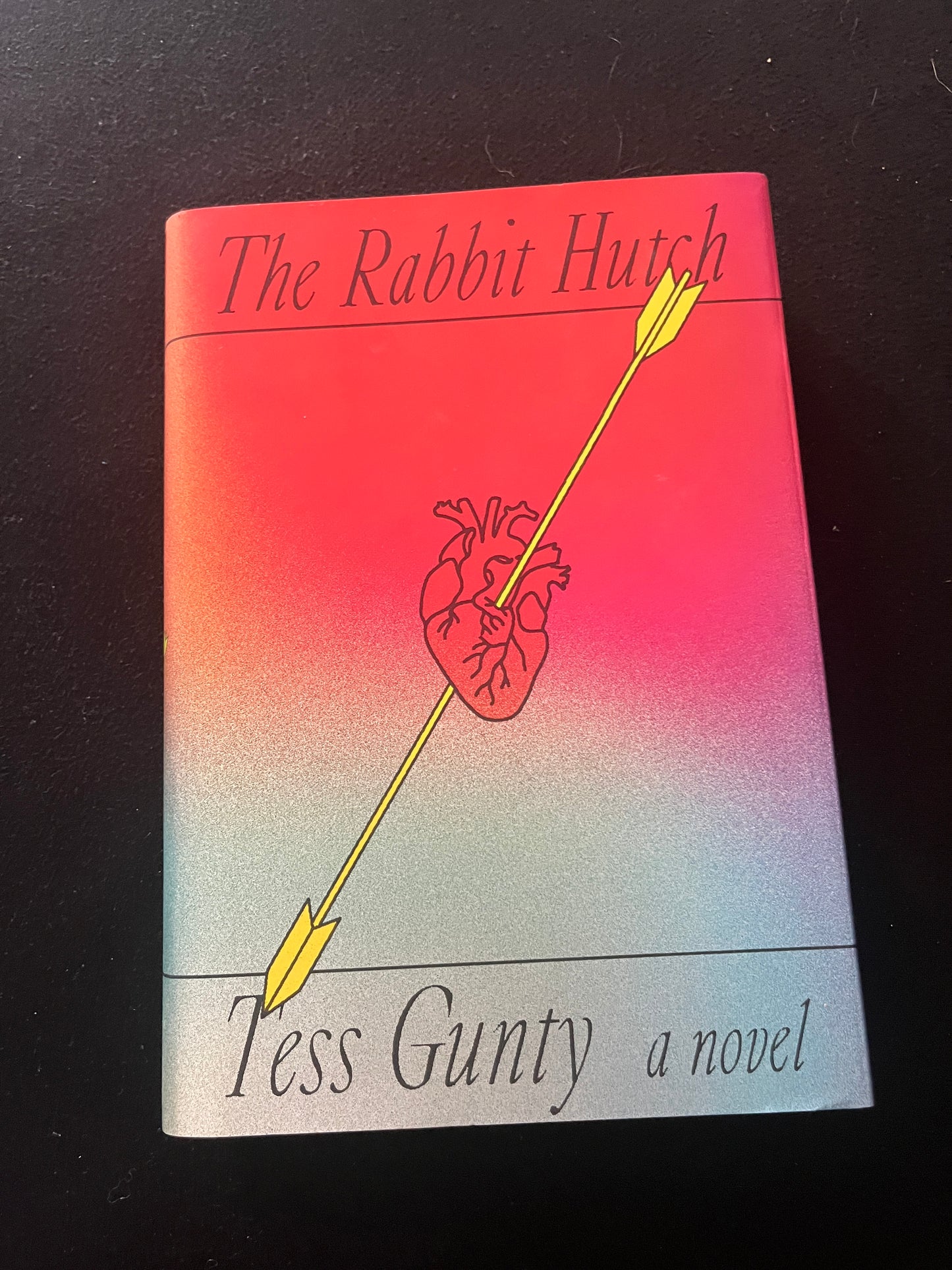 THE RABBIT HUTCH by Tess Gunty