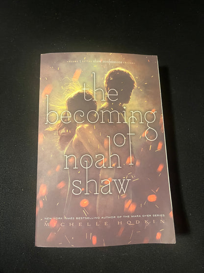 THE BECOMING OF NOAH SHAW by Michelle Hodkin