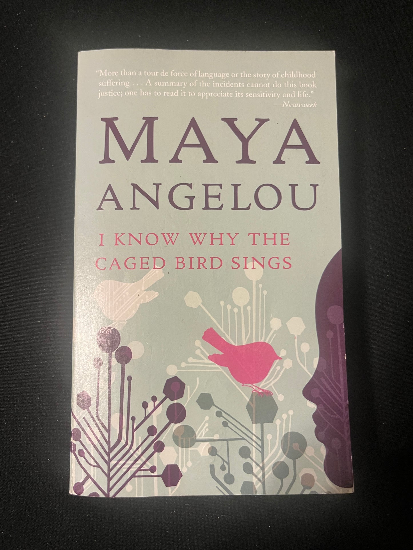 I KNOW WHY THE CAGED BIRD SINGS by Maya Angelou