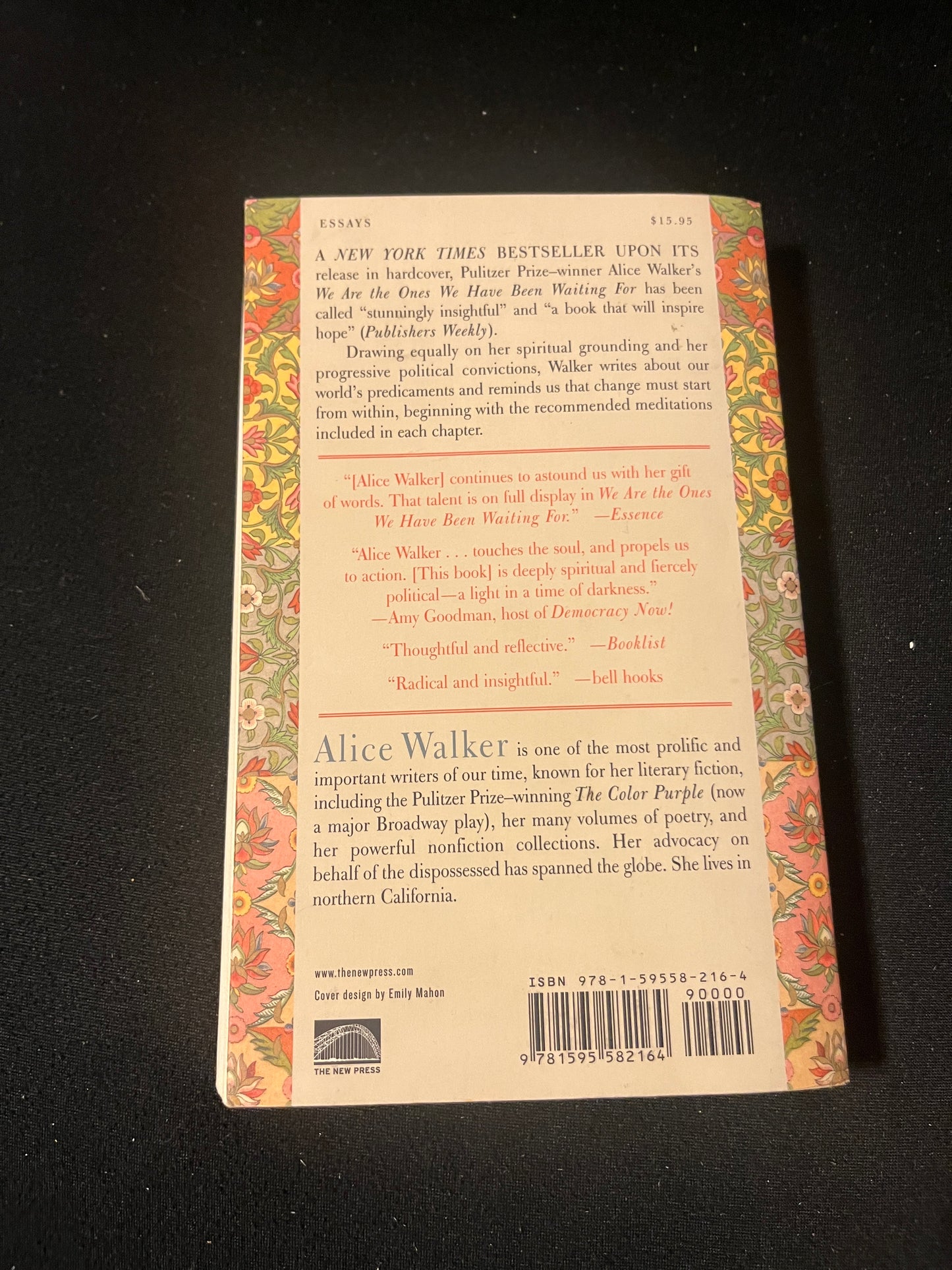 WE ARE THE ONES WE HAVE BEEN WAITING FOR: INNER LIGHT IN THE DARKNESS by Alice Walker