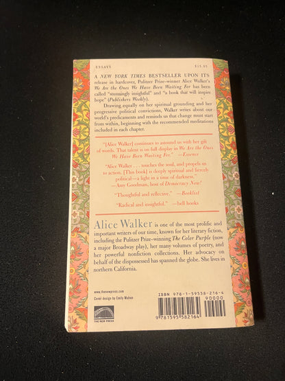 WE ARE THE ONES WE HAVE BEEN WAITING FOR: INNER LIGHT IN THE DARKNESS by Alice Walker
