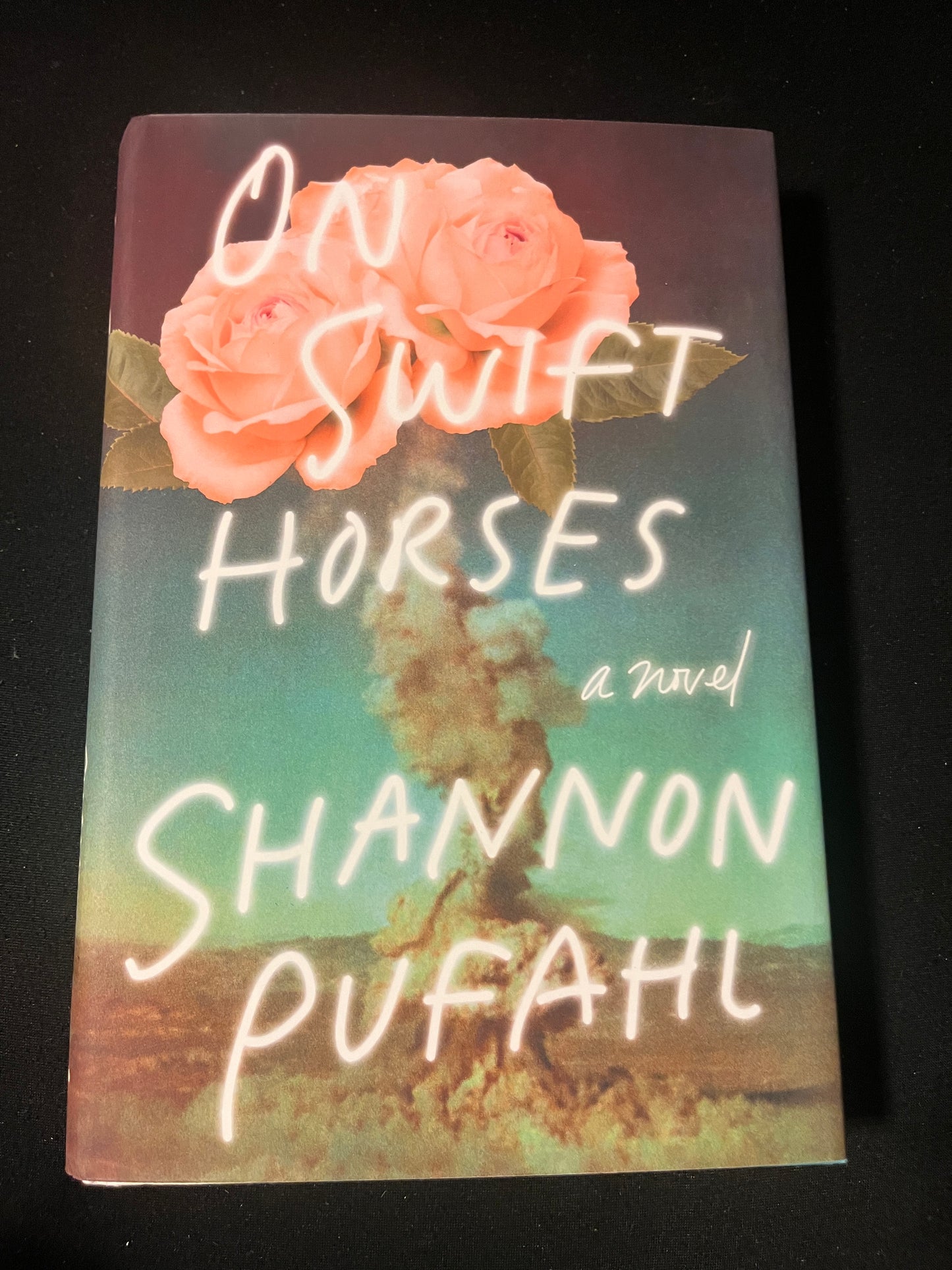 ON SWIFT HORSES by Shannon Pufahl