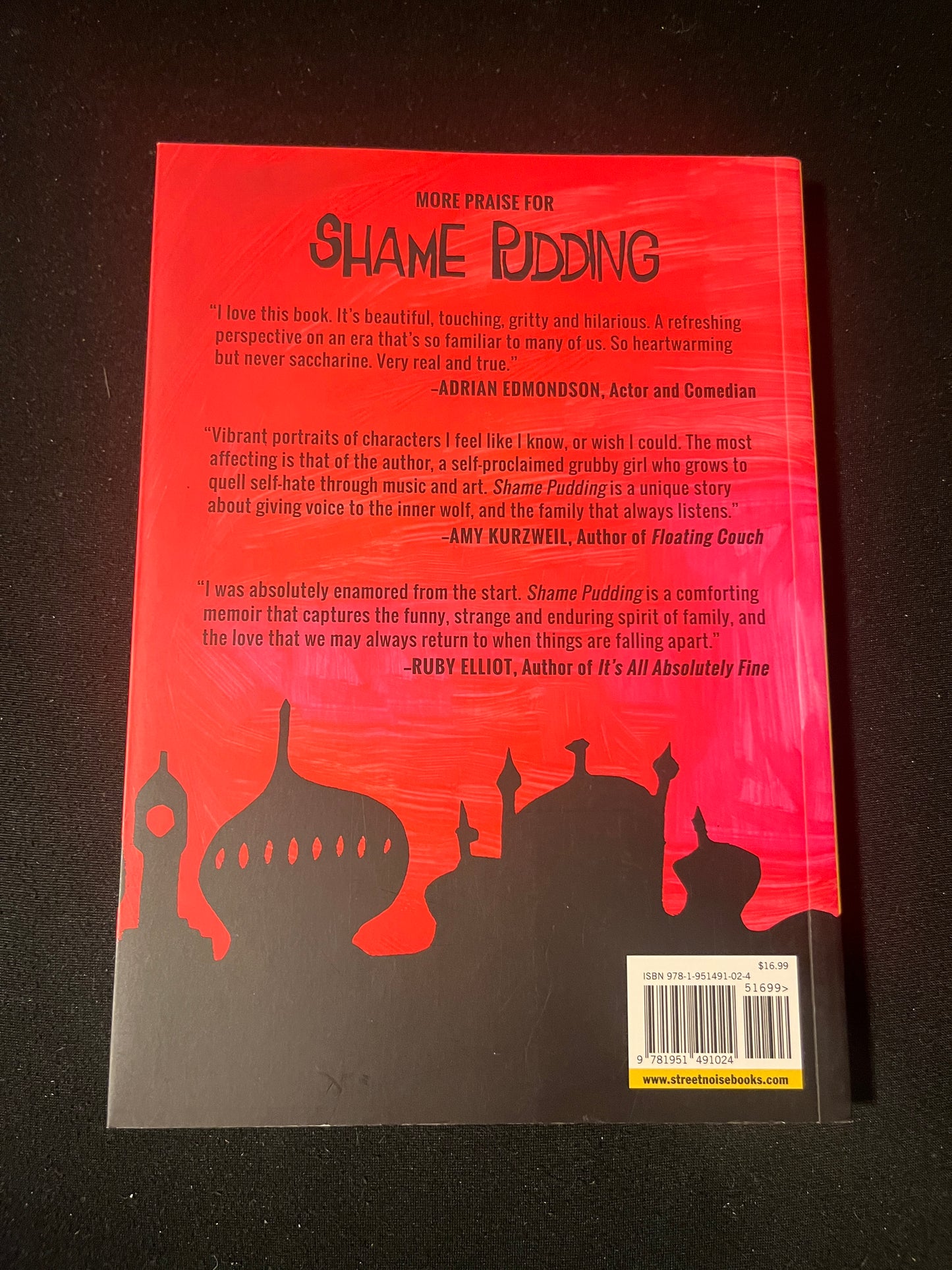 SHAME PUDDING by Danny Noble