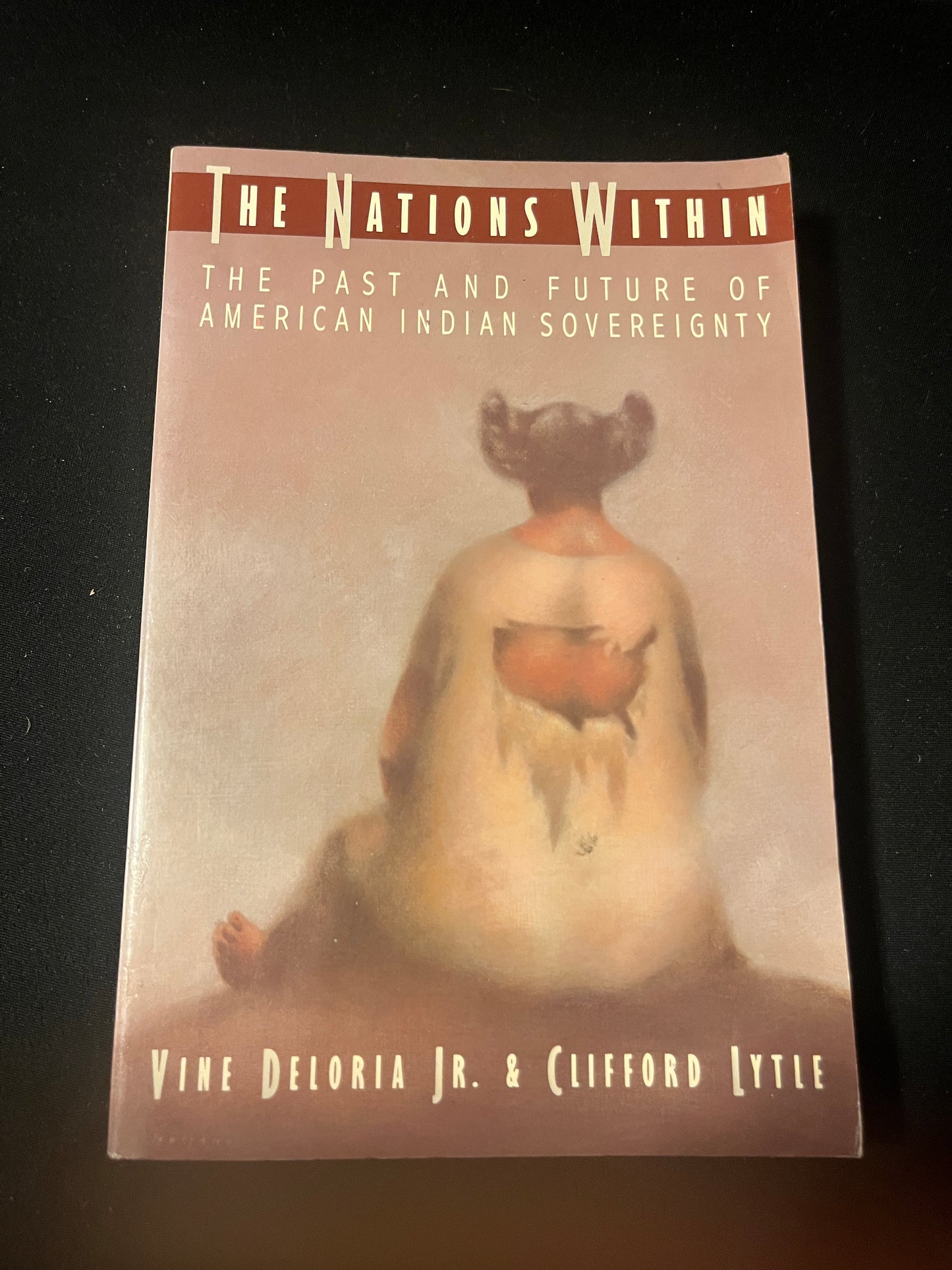 THE NATIONS WITHIN: THE PAST AND FURTURE OF AMERICAN INDIAN SOVEREIGNTY by Vine Deloria Jr. and Clifford Lytle