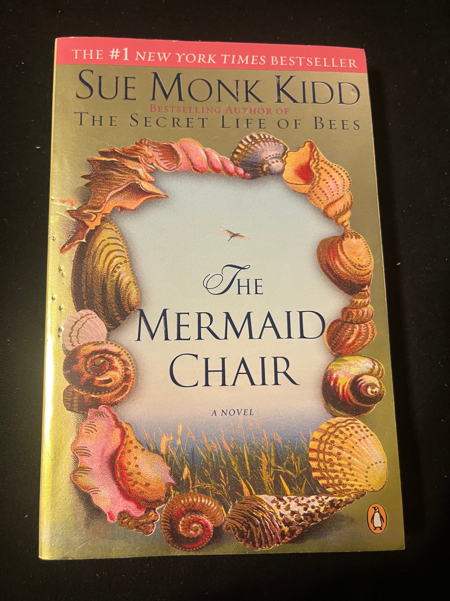 THE MERMAID CHAIR by Sue Monk Kidd