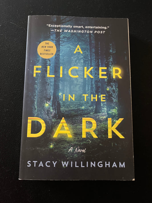 A FLICKER IN THE DARK by Stacy Willingham