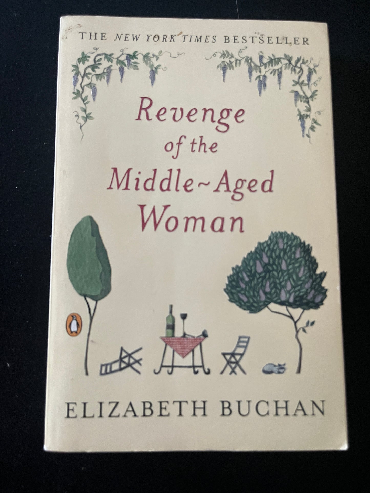 REVENGE OF THE MIDDLE-AGED WOMAN by Elizabeth Buchan