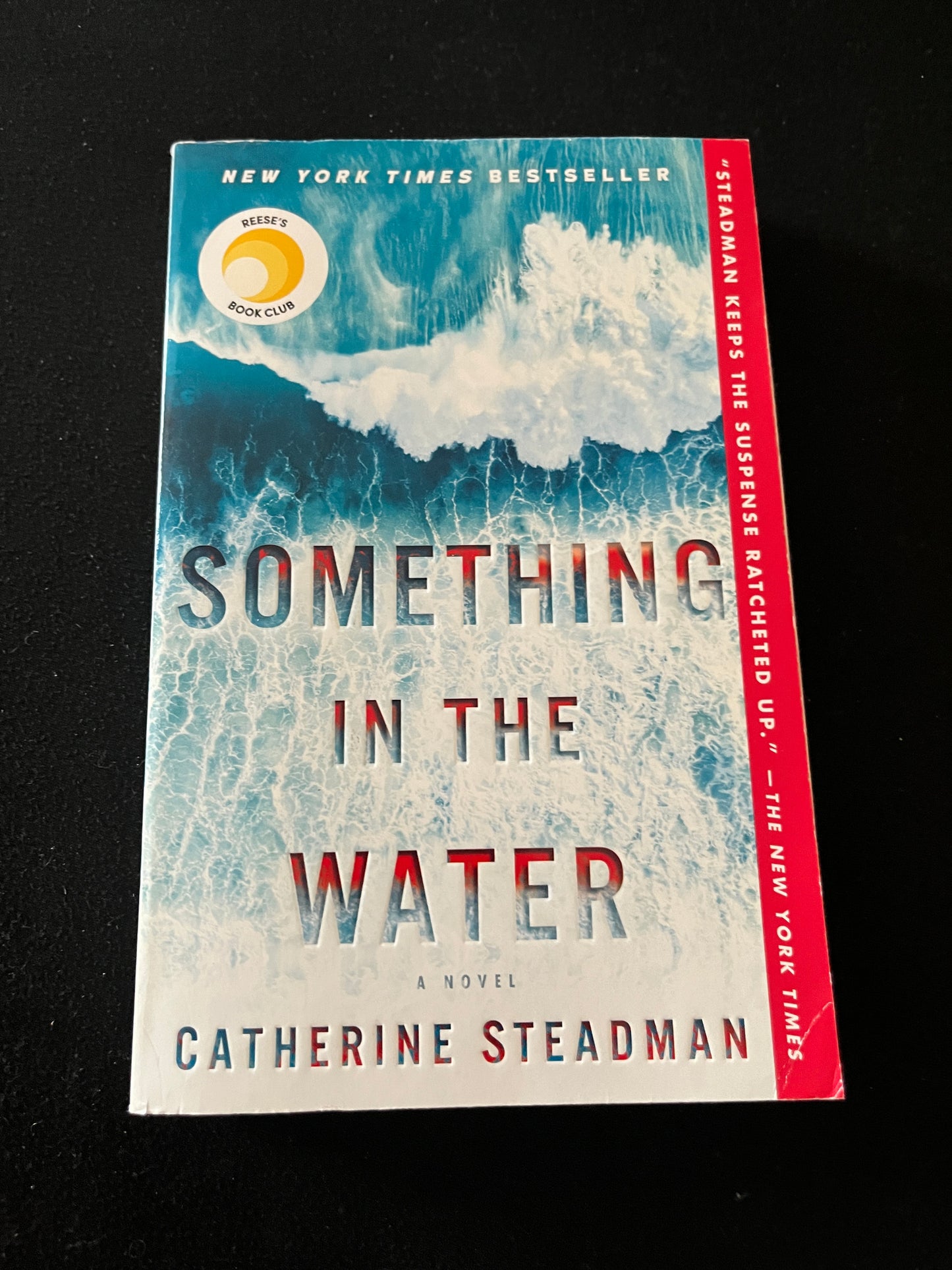 SOMETHING IN THE WATER by Catherine Steadman