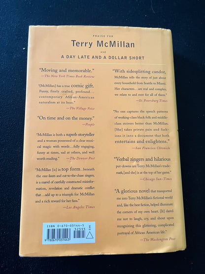 THE INTERRUPTION OF EVERYTHING by Terry McMillan