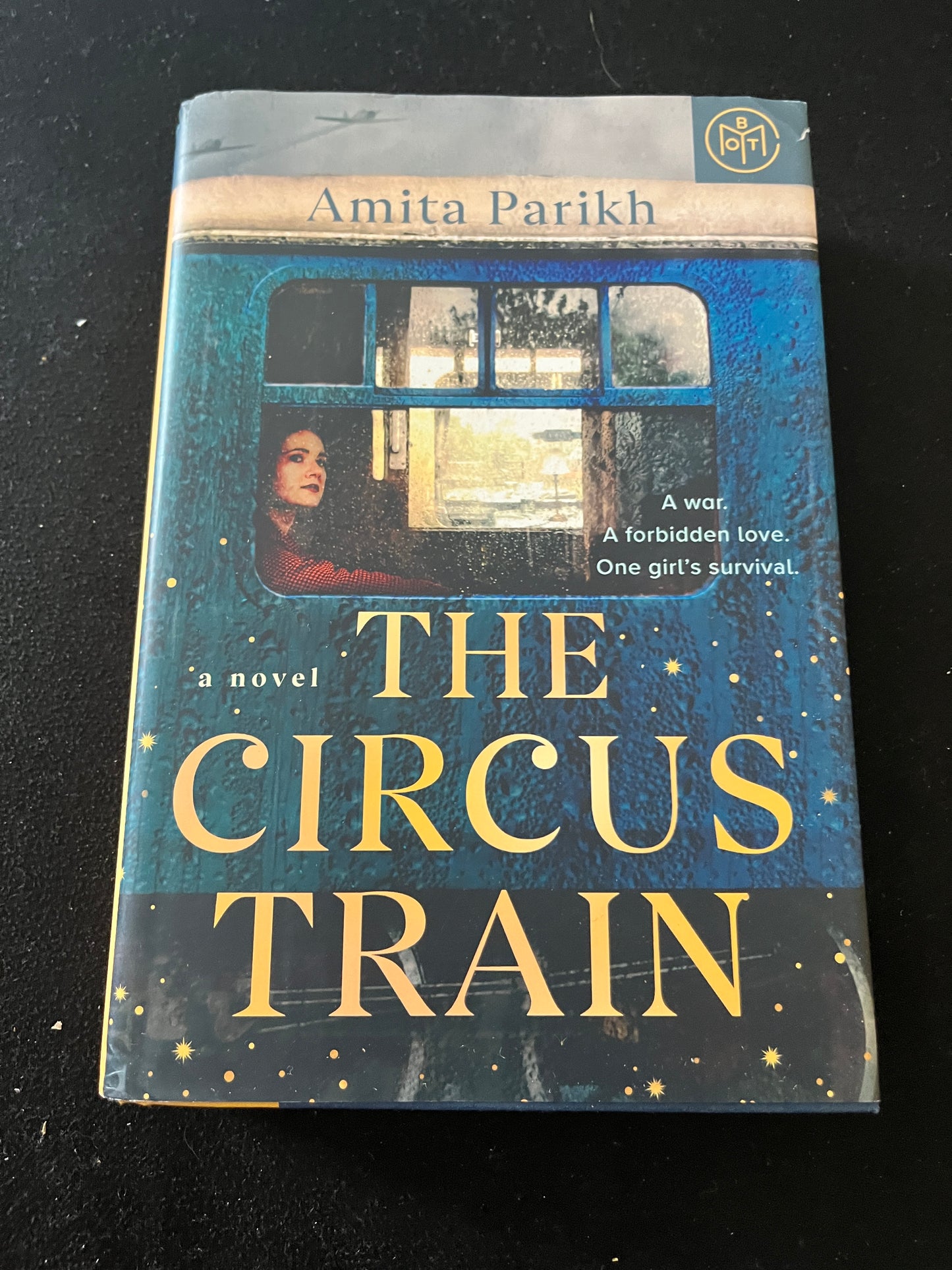 THE CIRCUS TRAIN by Amita Parikh