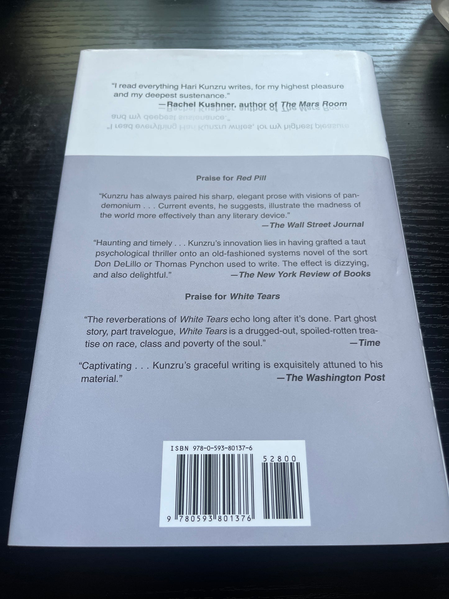 BLUE RUIN by Hari Kunzru