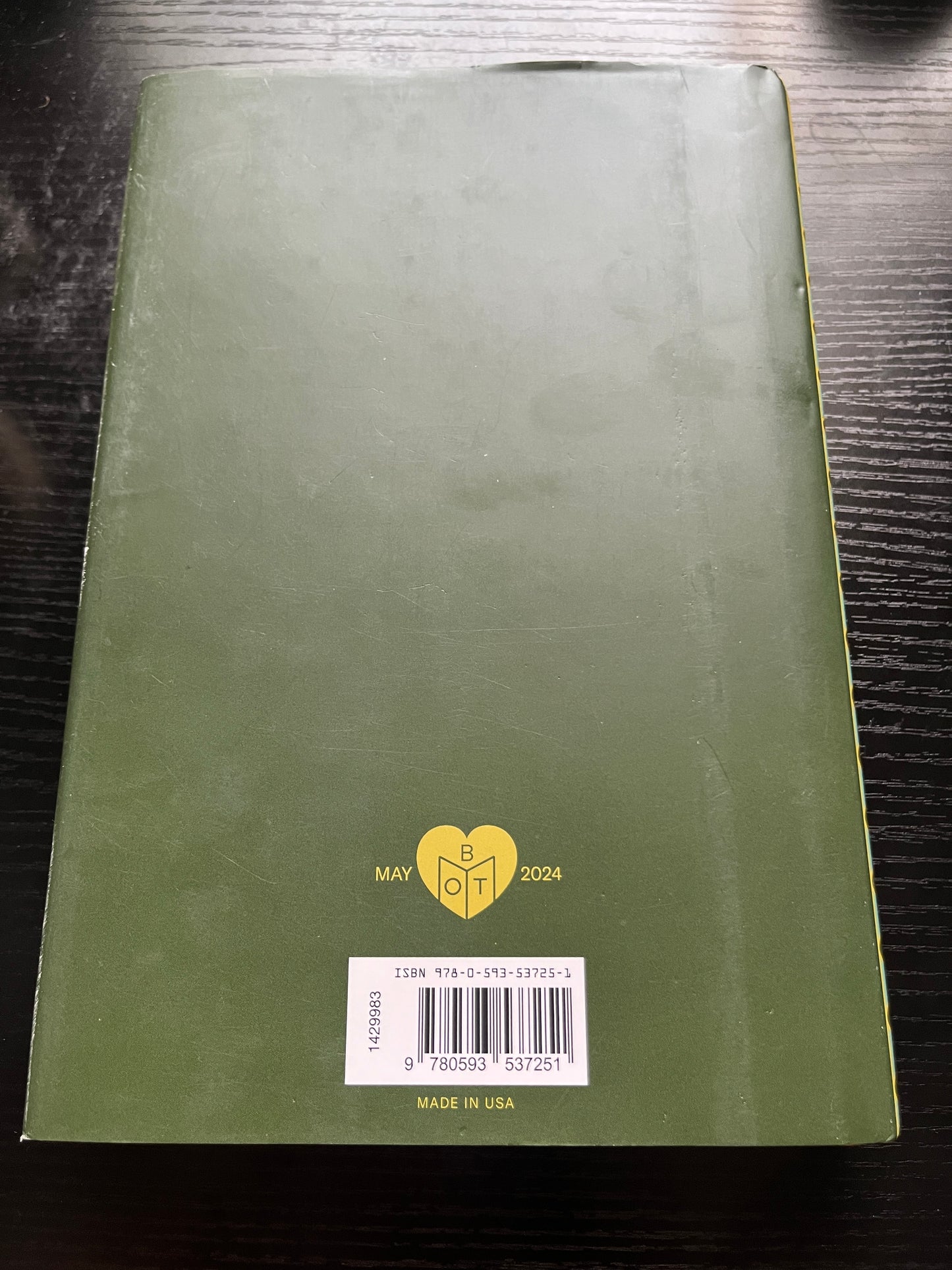 REAL AMERICANS by Rachel Khong