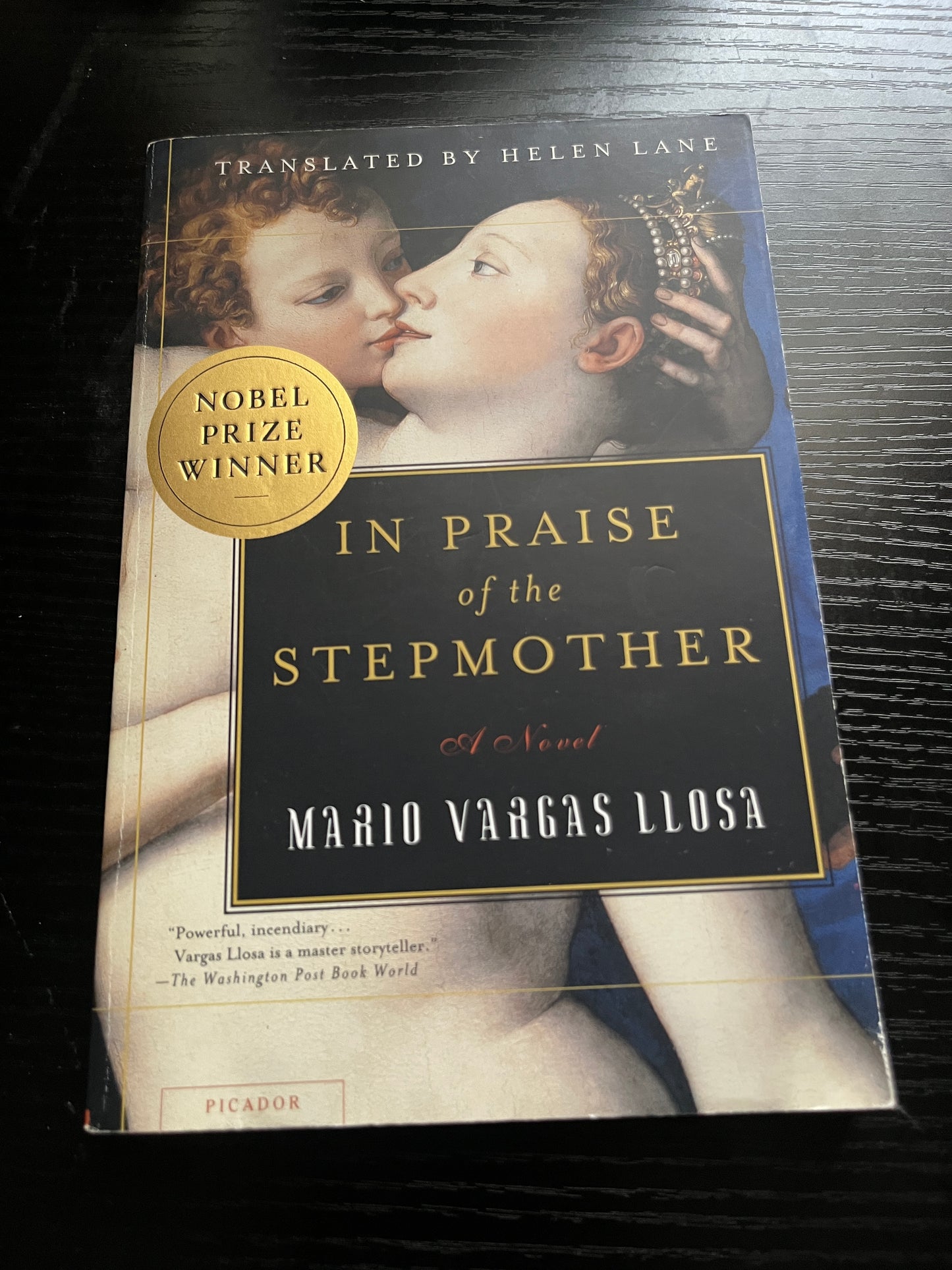 IN PRAISE OF THE STEPMOTHER by Mario Vargas Llosa