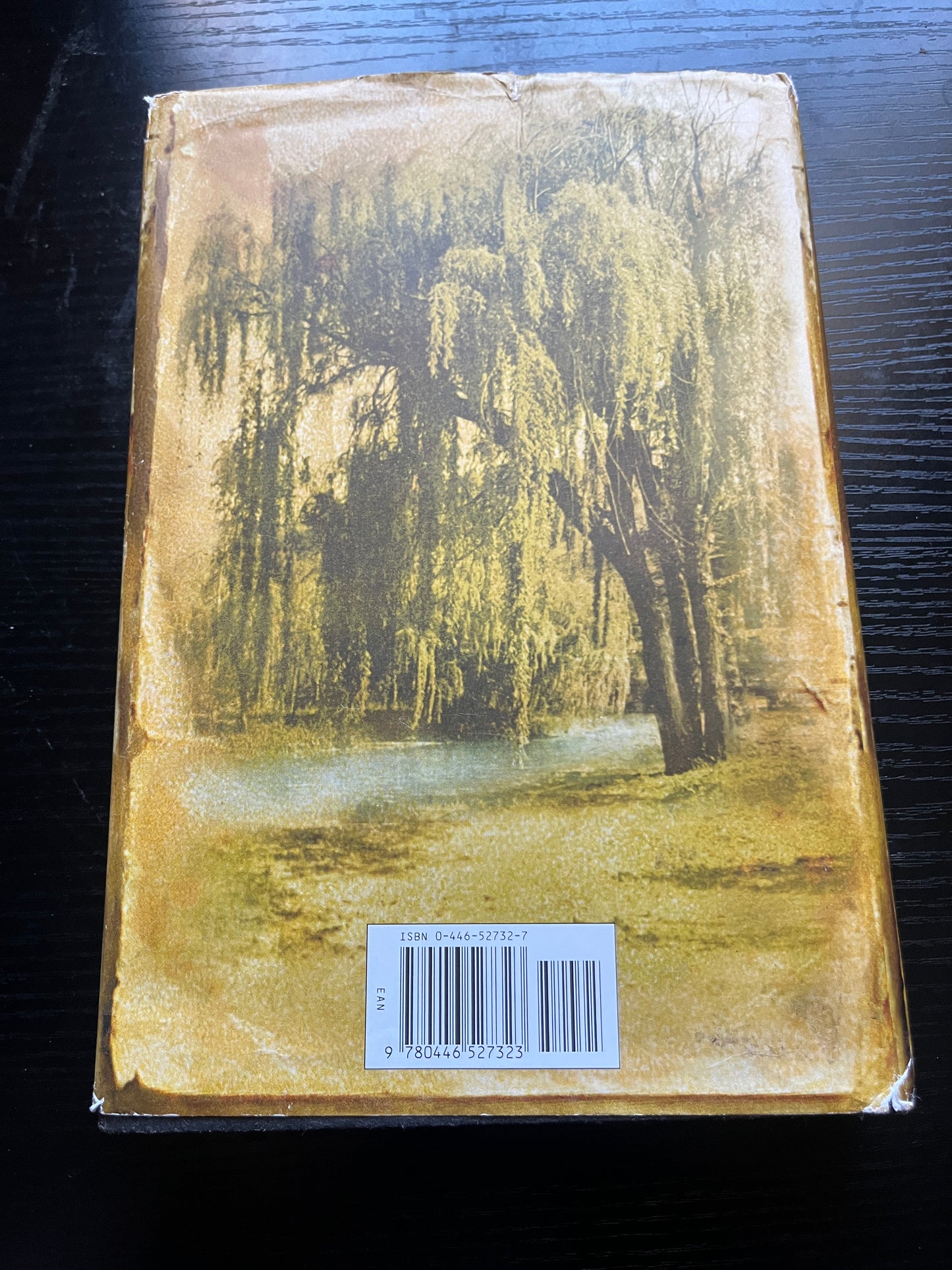 CANE RIVER by Lalita Tademy