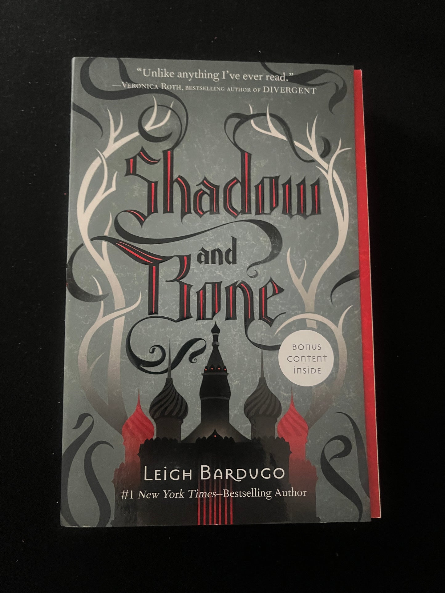 SHADOW AND BONE by Leigh Bardugo