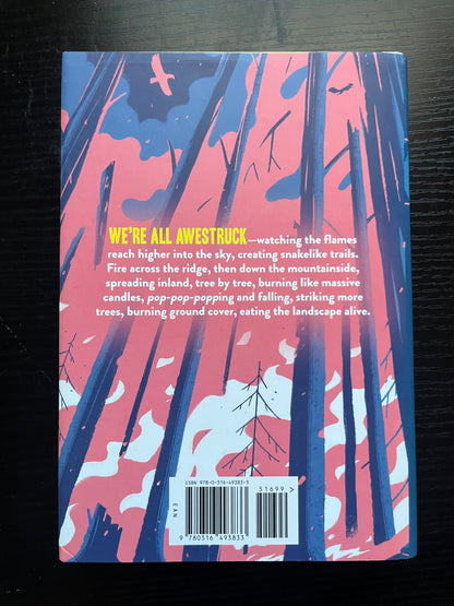 PARADISE ON FIRE by Jewell Parker Rhodes