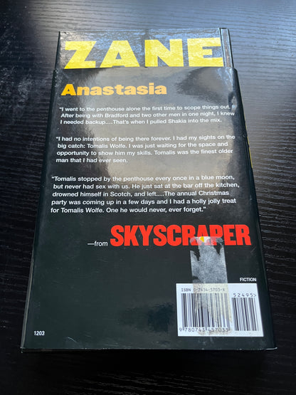 SKYSCRAPER by Zane