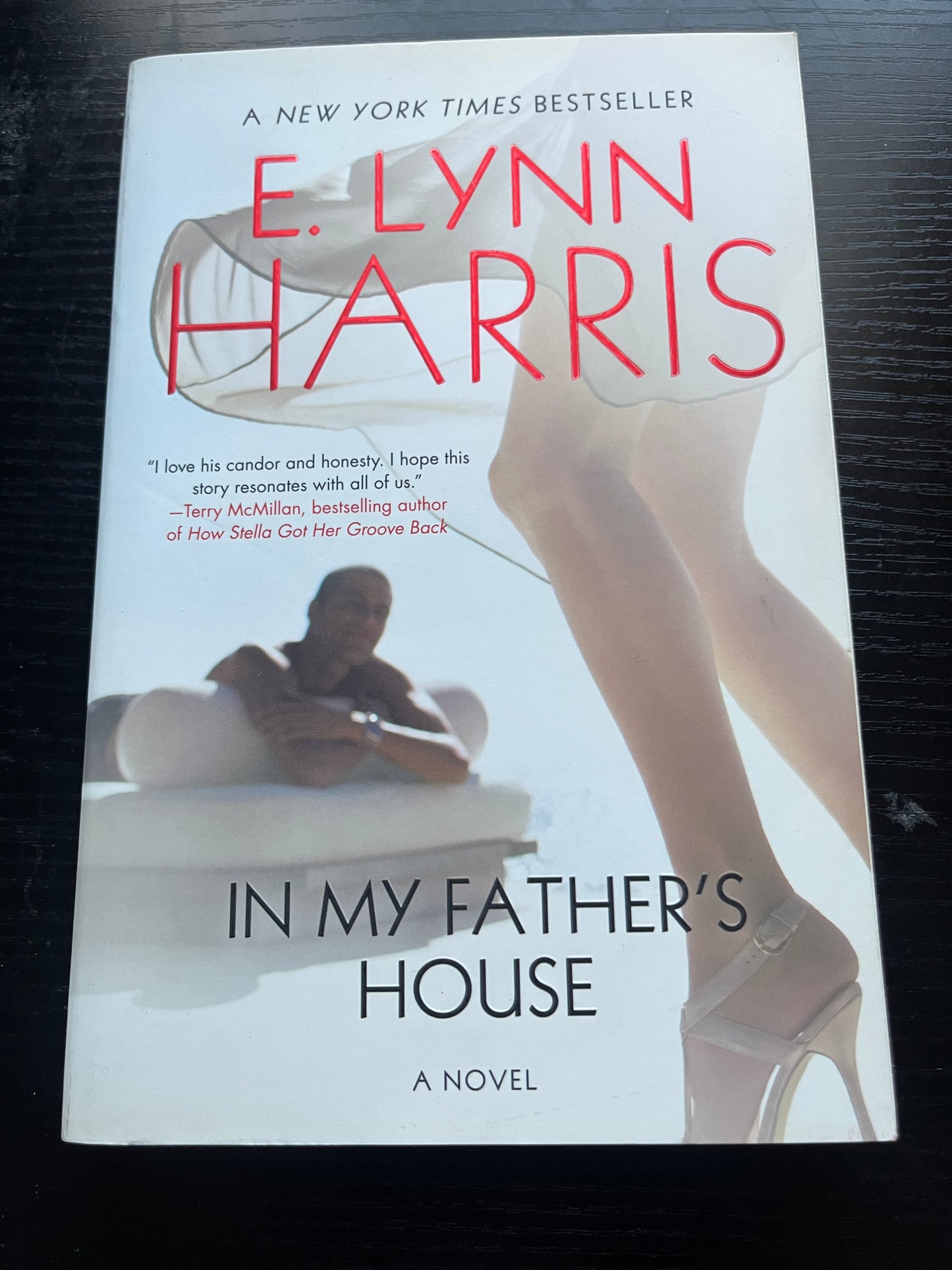 IN MY FATHER'S HOUSE: A Novel by E. Lynn Harris