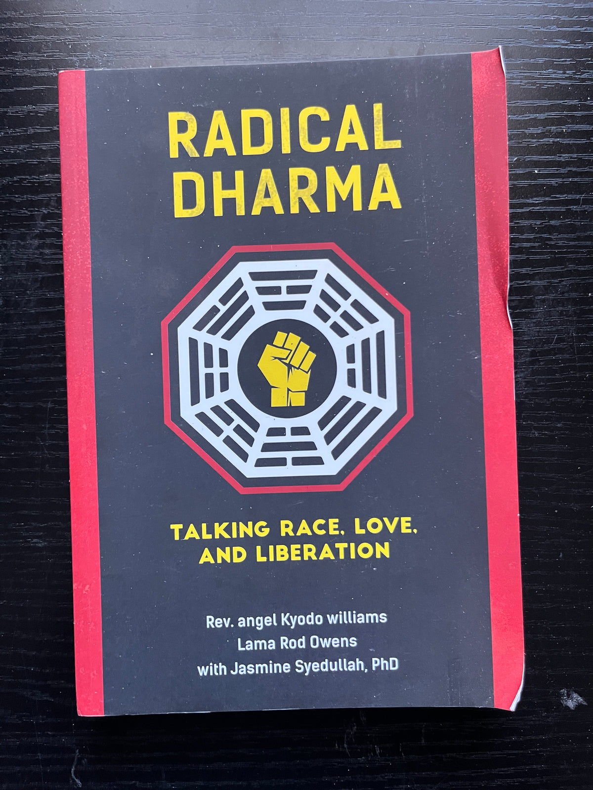 RADICAL DHARMA: Talking Race, Love, and Liberation by Rev. angel Kyodo ...