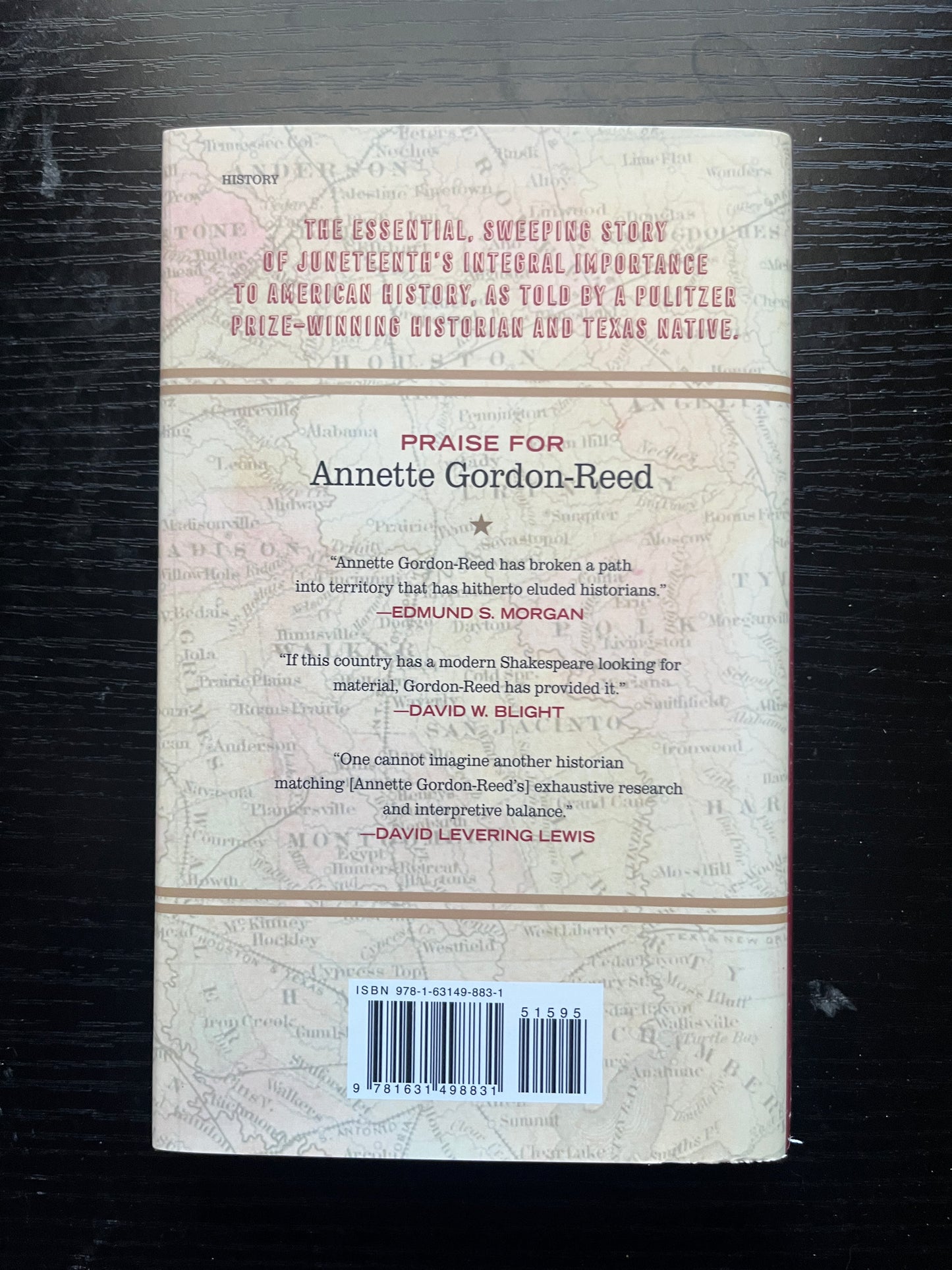 ON JUNETEENTH by Annette Gordon-Reed