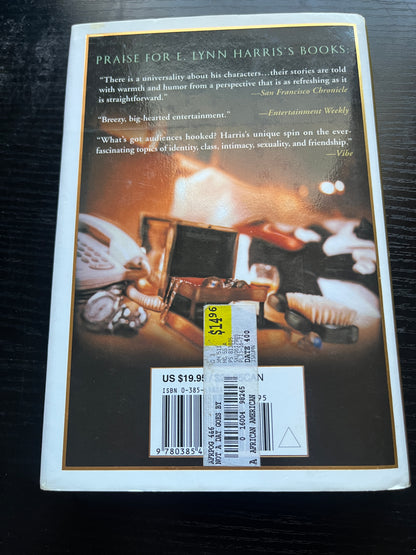 NOT A DAY GOES BY: A Novel by E. Lynn Harris