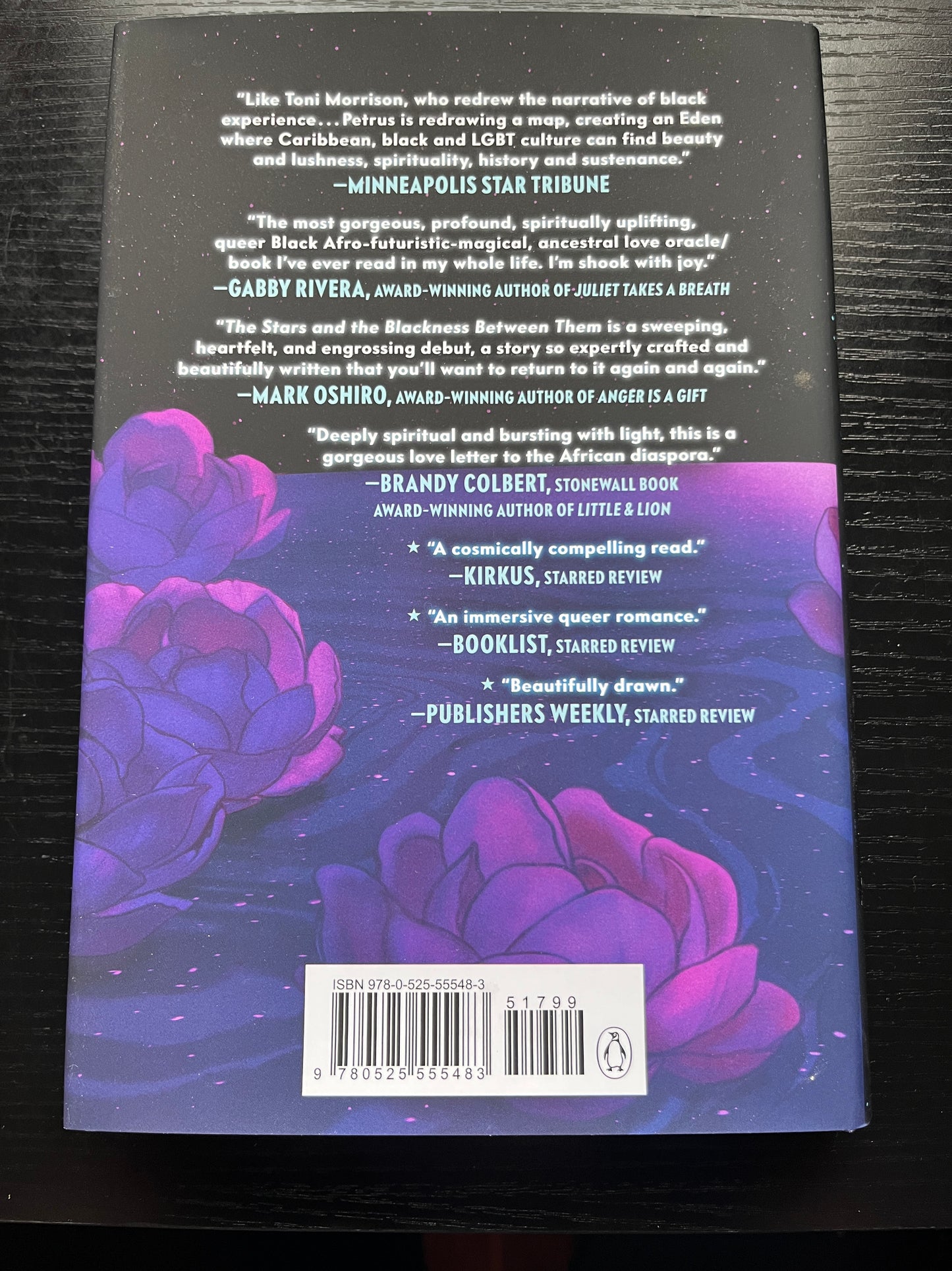 THE STARS AND THE BLACKNESS BETWEEN THEM by Junauda Petrus