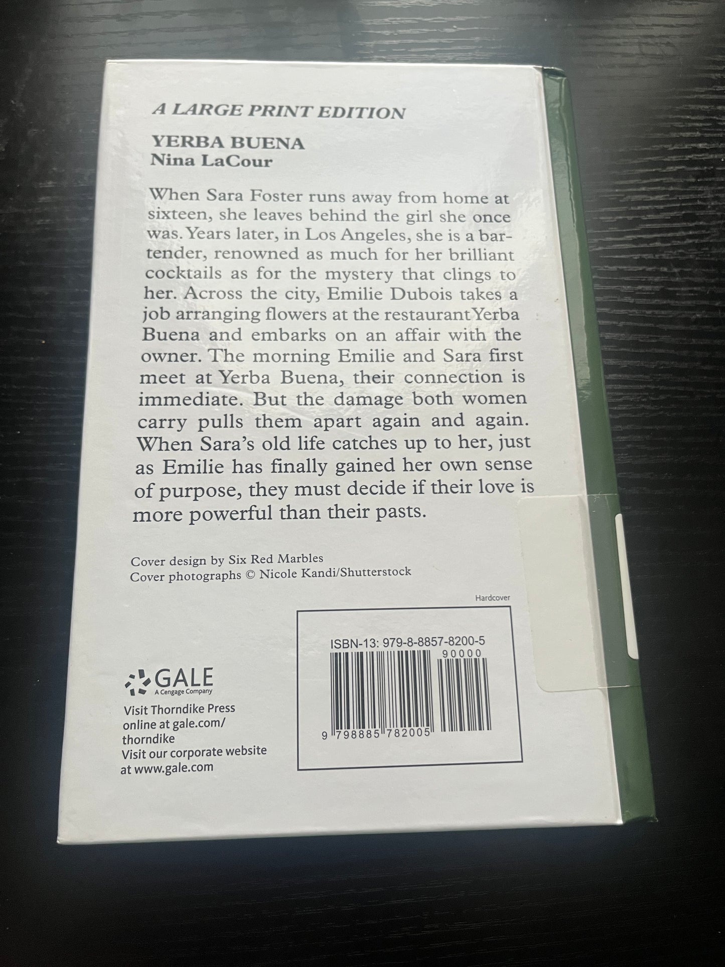 YERBA BUENA: A Novel (Large Print Edition) by Nina LaCour