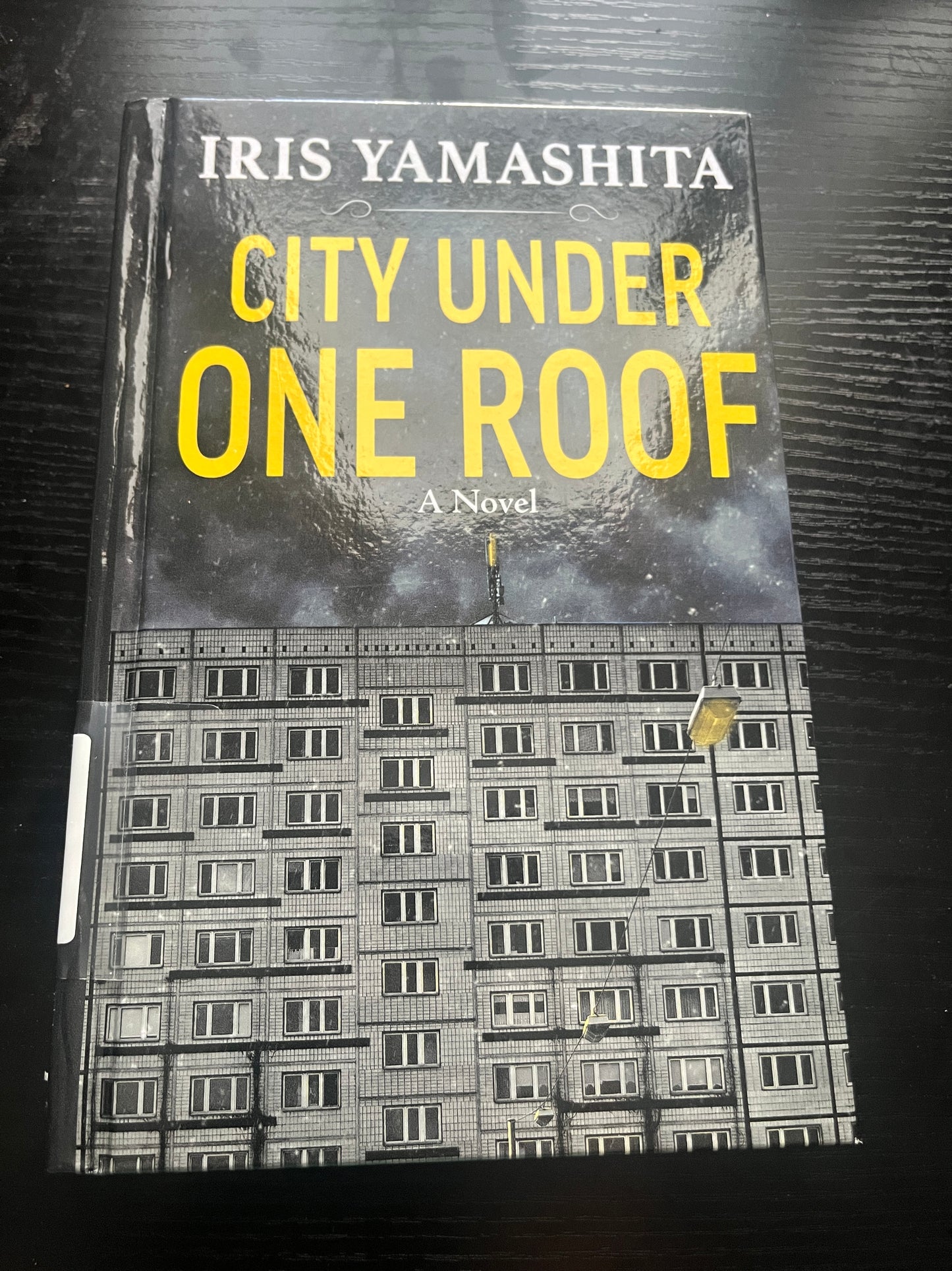 CITY UNDER ONE ROOF by Iris Yamashita